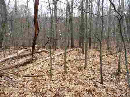 618 Bean River Road – For Sale photo 28