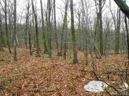 618 Bean River Road – For Sale photo 22