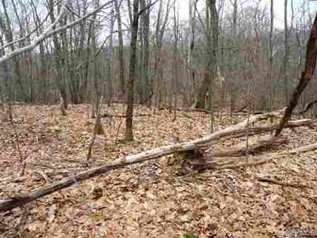 618 Bean River Road – For Sale photo 27