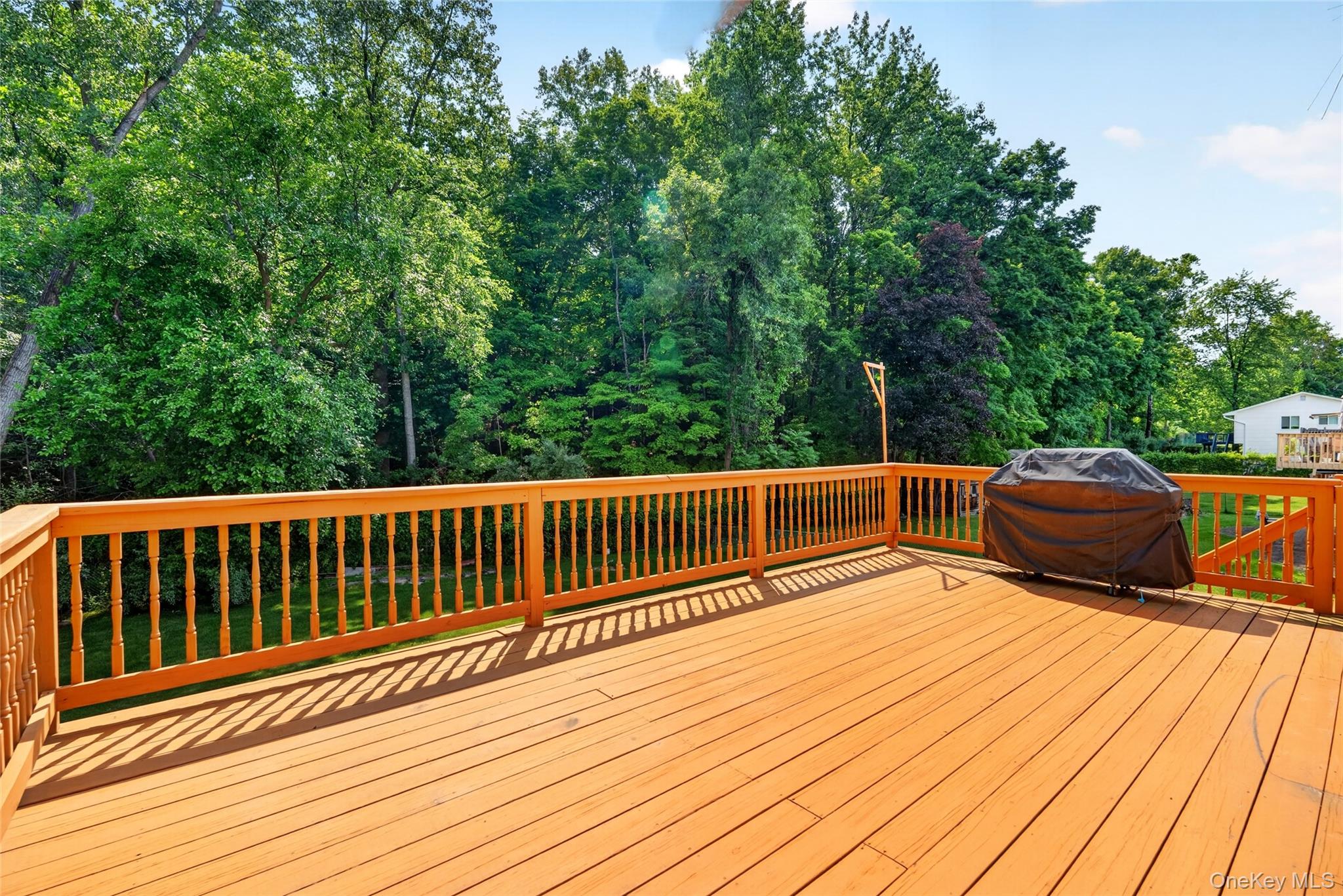 10 Lighthouse Court – For Sale photo 18