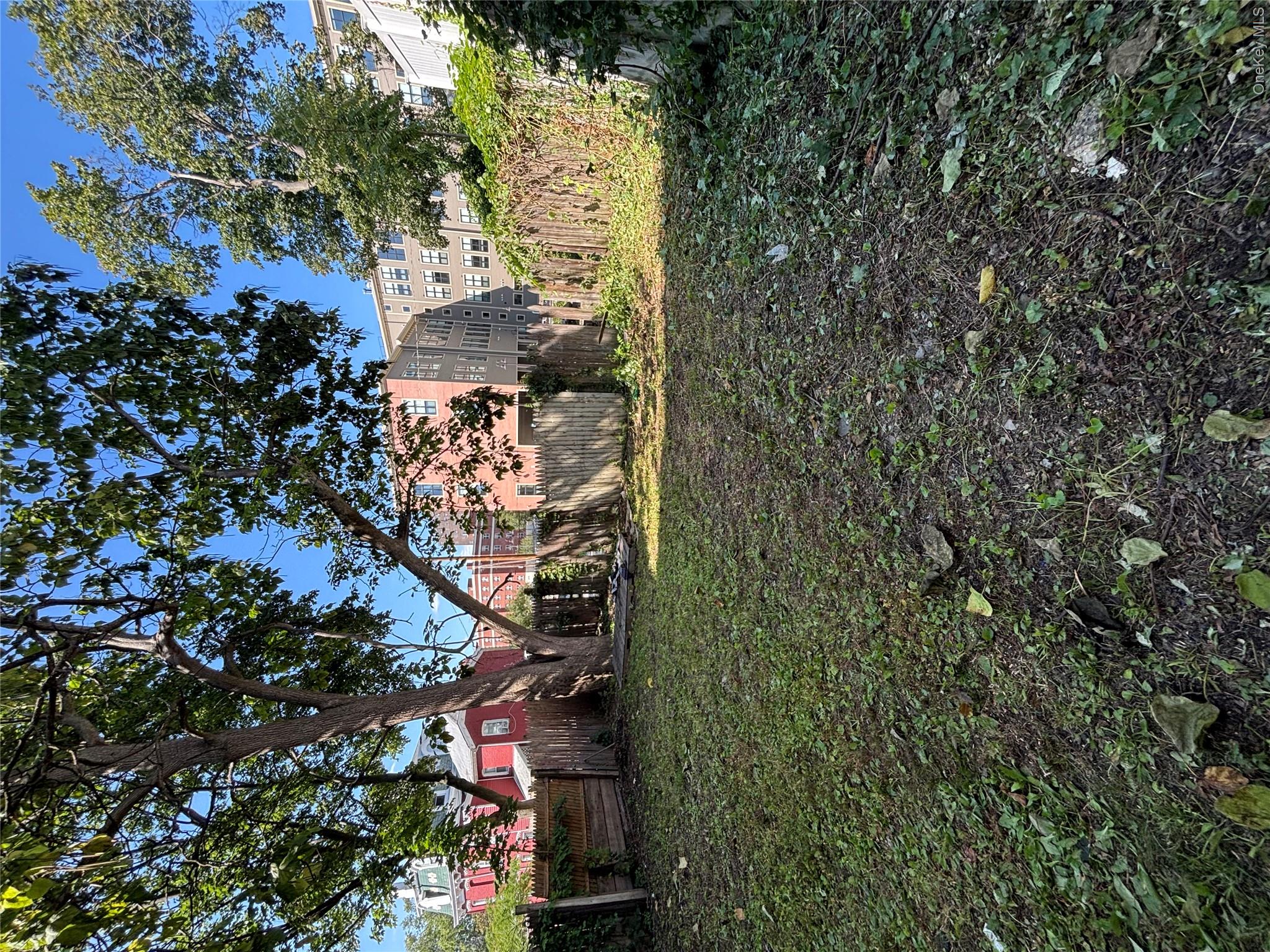 185 Union Street, Unit 1 photo 14