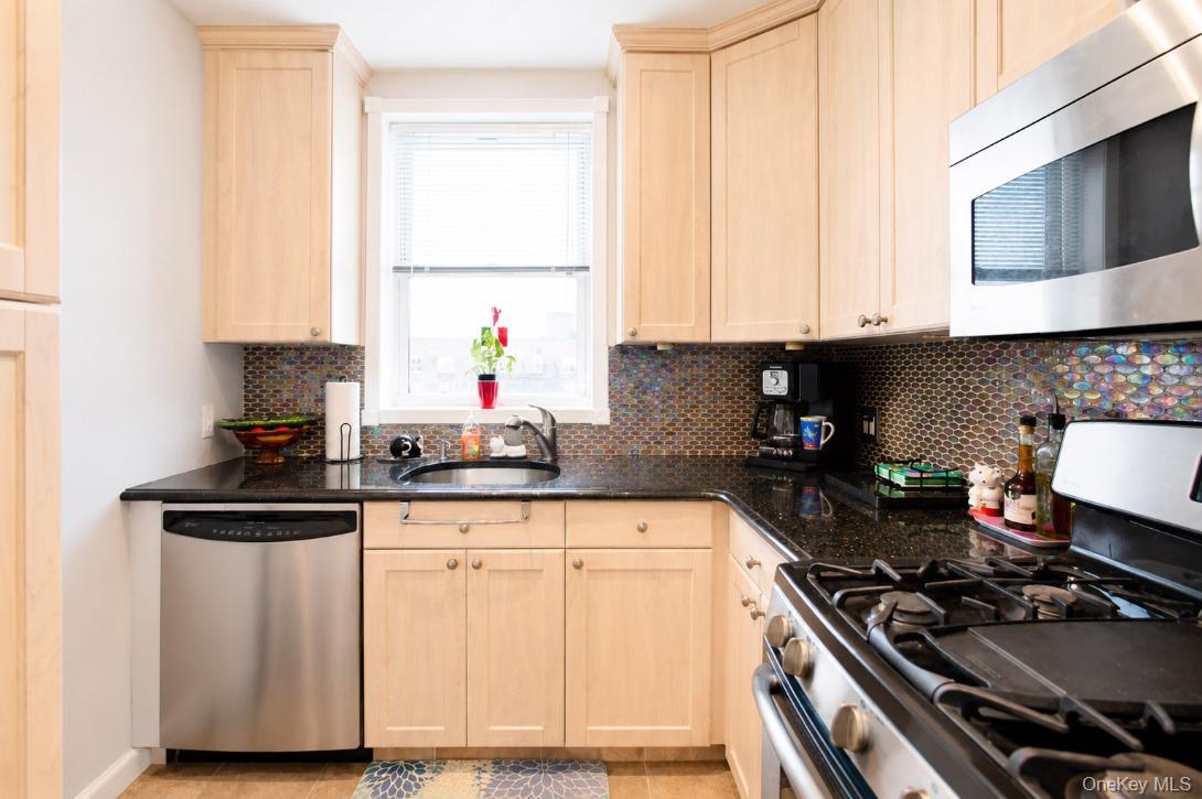 210 E Broadway, Unit 6L photo 18