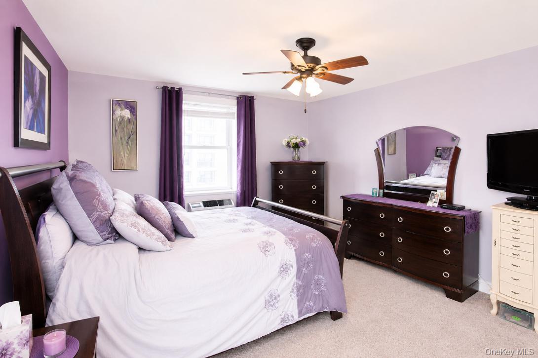 210 E Broadway, Unit 6L photo 10