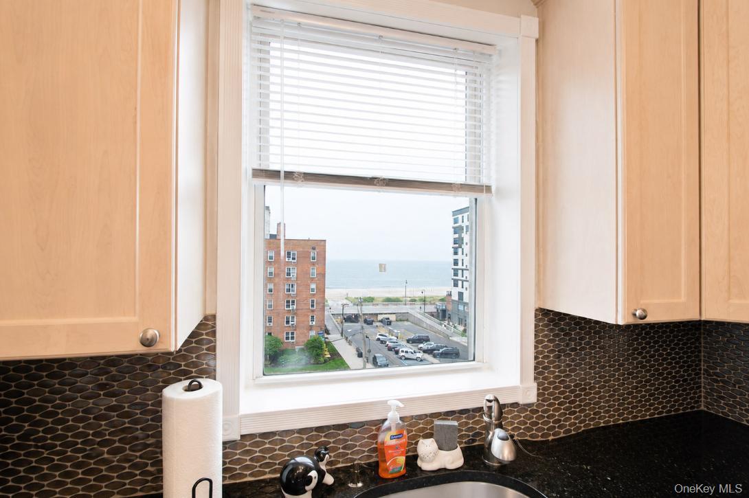 210 E Broadway, Unit 6L photo 20
