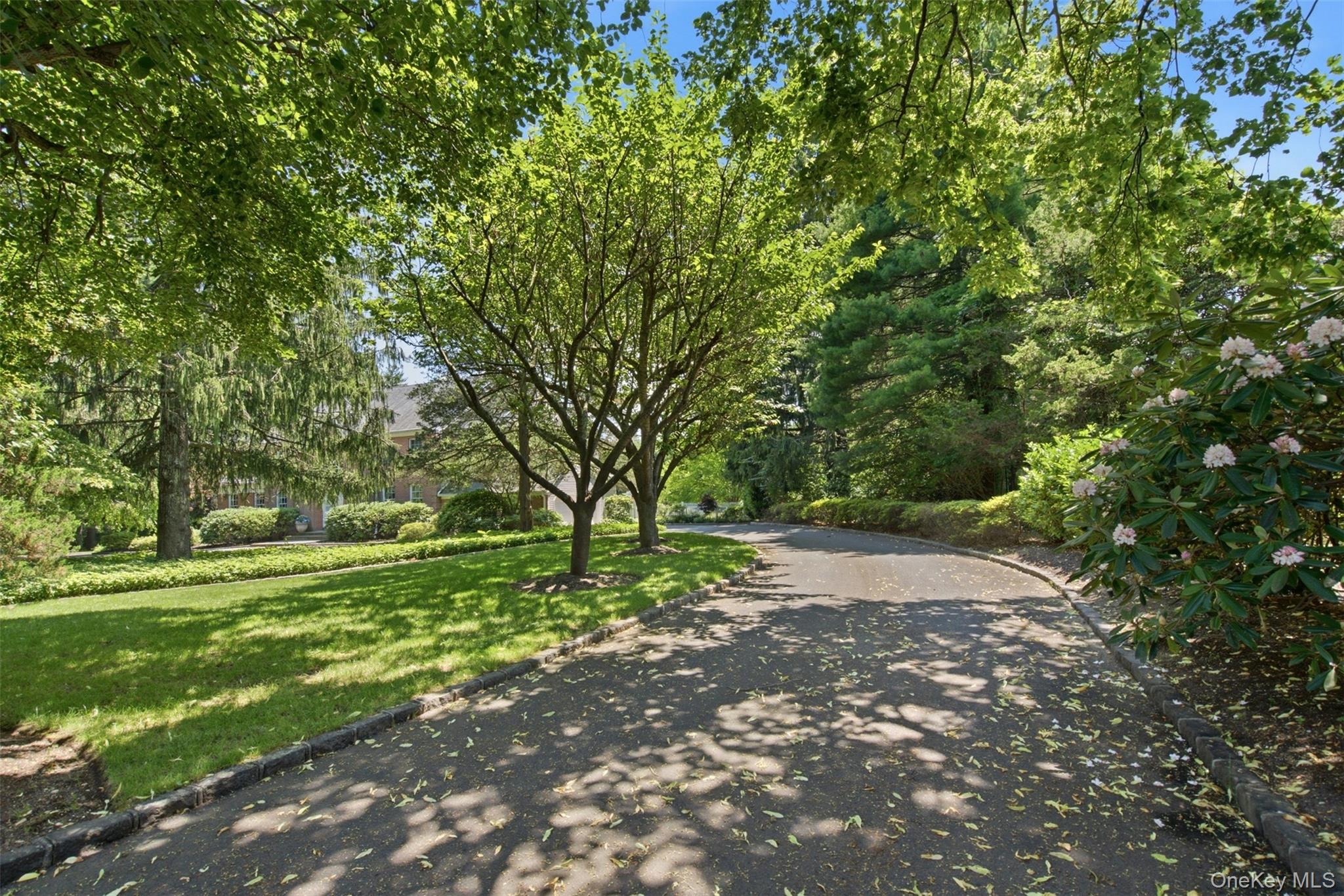 61 Linden Lane – For Sale photo 2