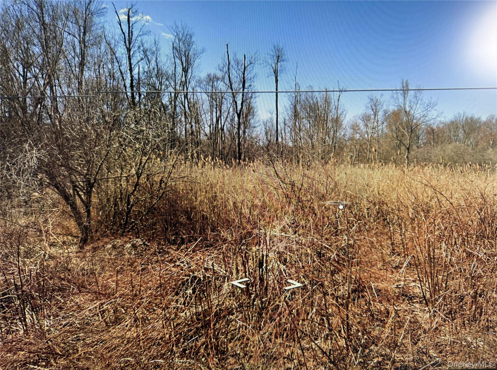 Clove Road – For Sale photo 2