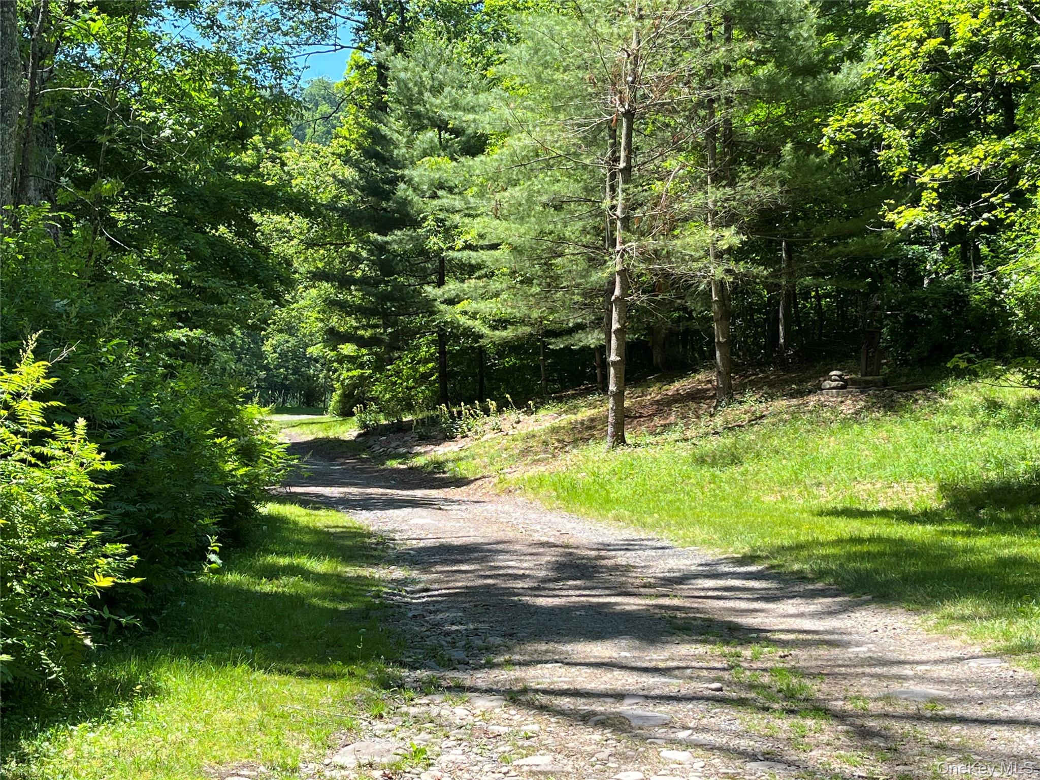 938 Woodland Valley Road – For Sale photo 3