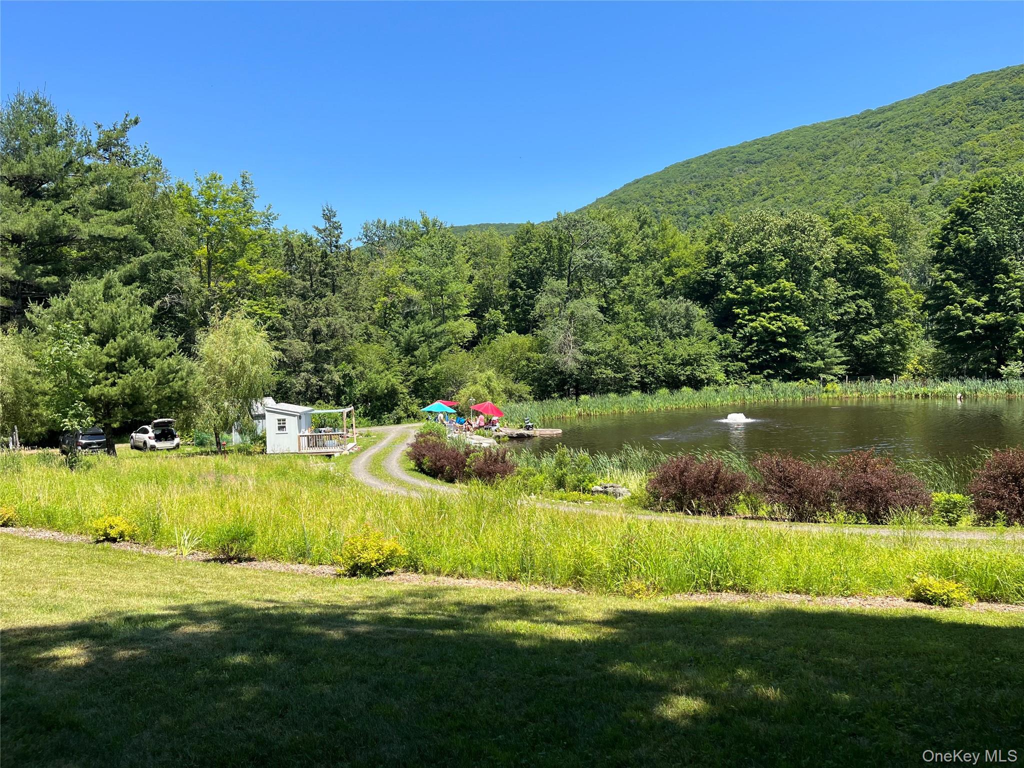 938 Woodland Valley Road – For Sale photo 5