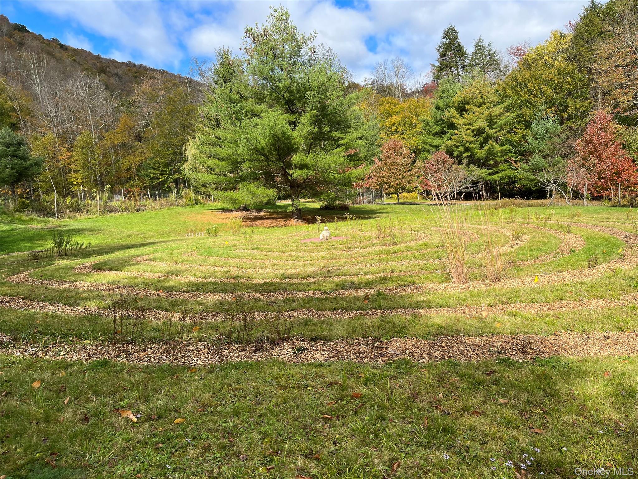 938 Woodland Valley Road – For Sale photo 7