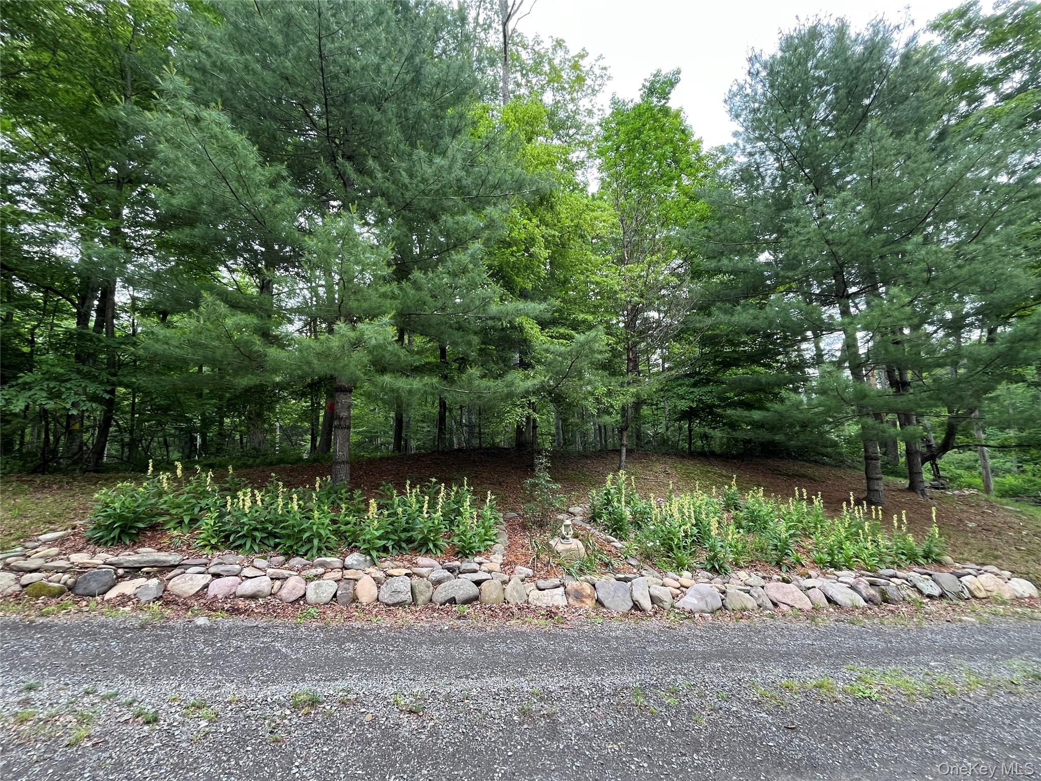 938 Woodland Valley Road – For Sale photo 4