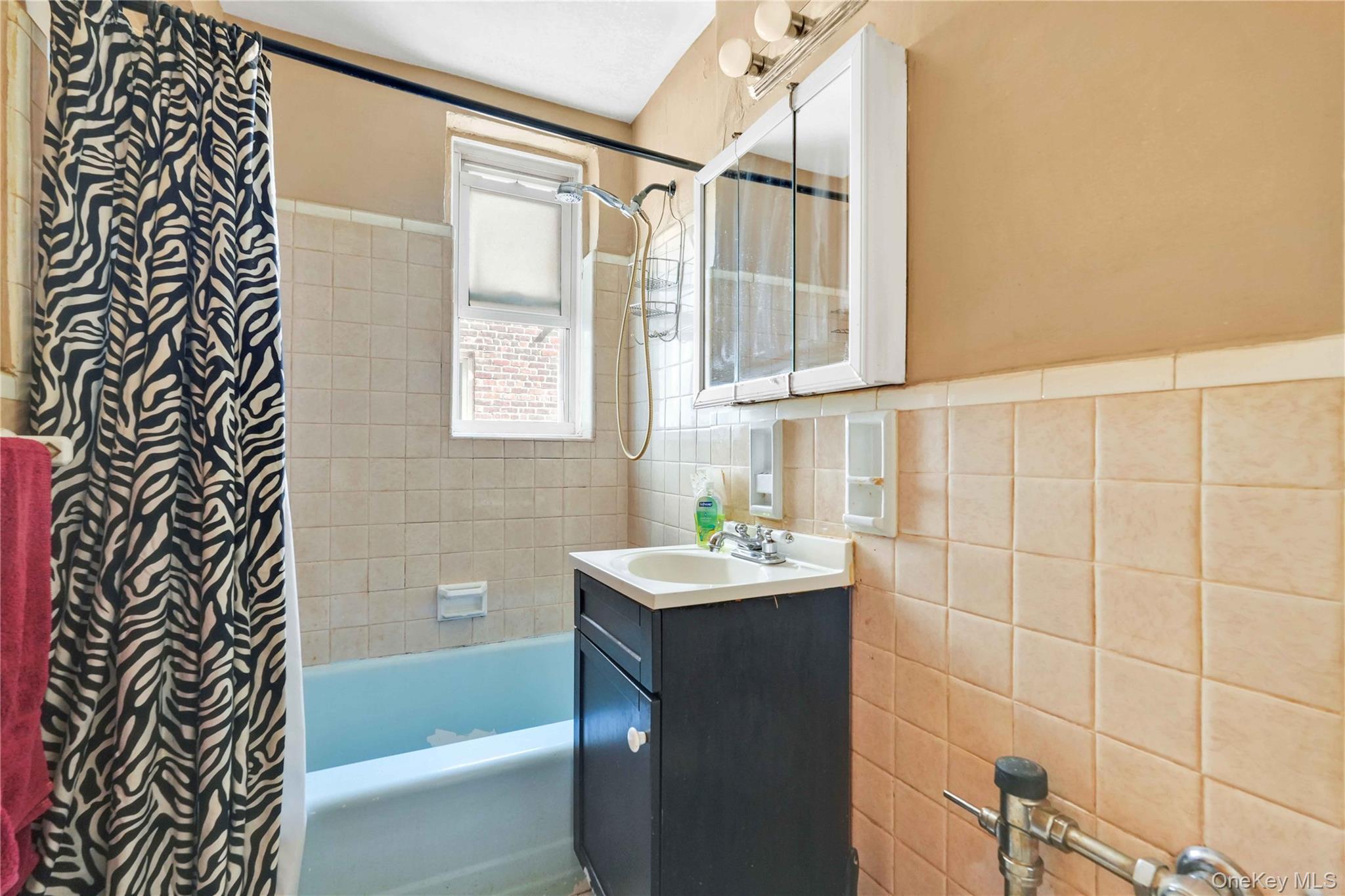 3203 Nostrand Avenue, Unit 5J photo 13