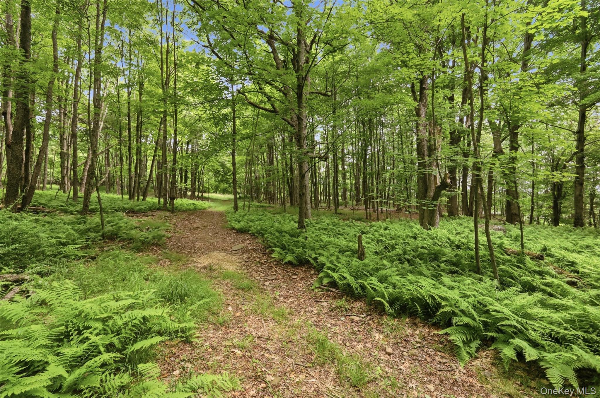 115 Cold Spring Road – For Sale photo 25