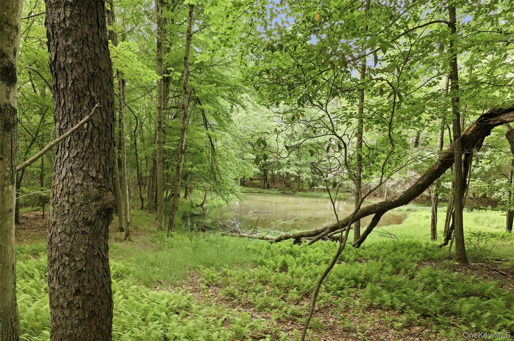115 Cold Spring Road – For Sale photo 26