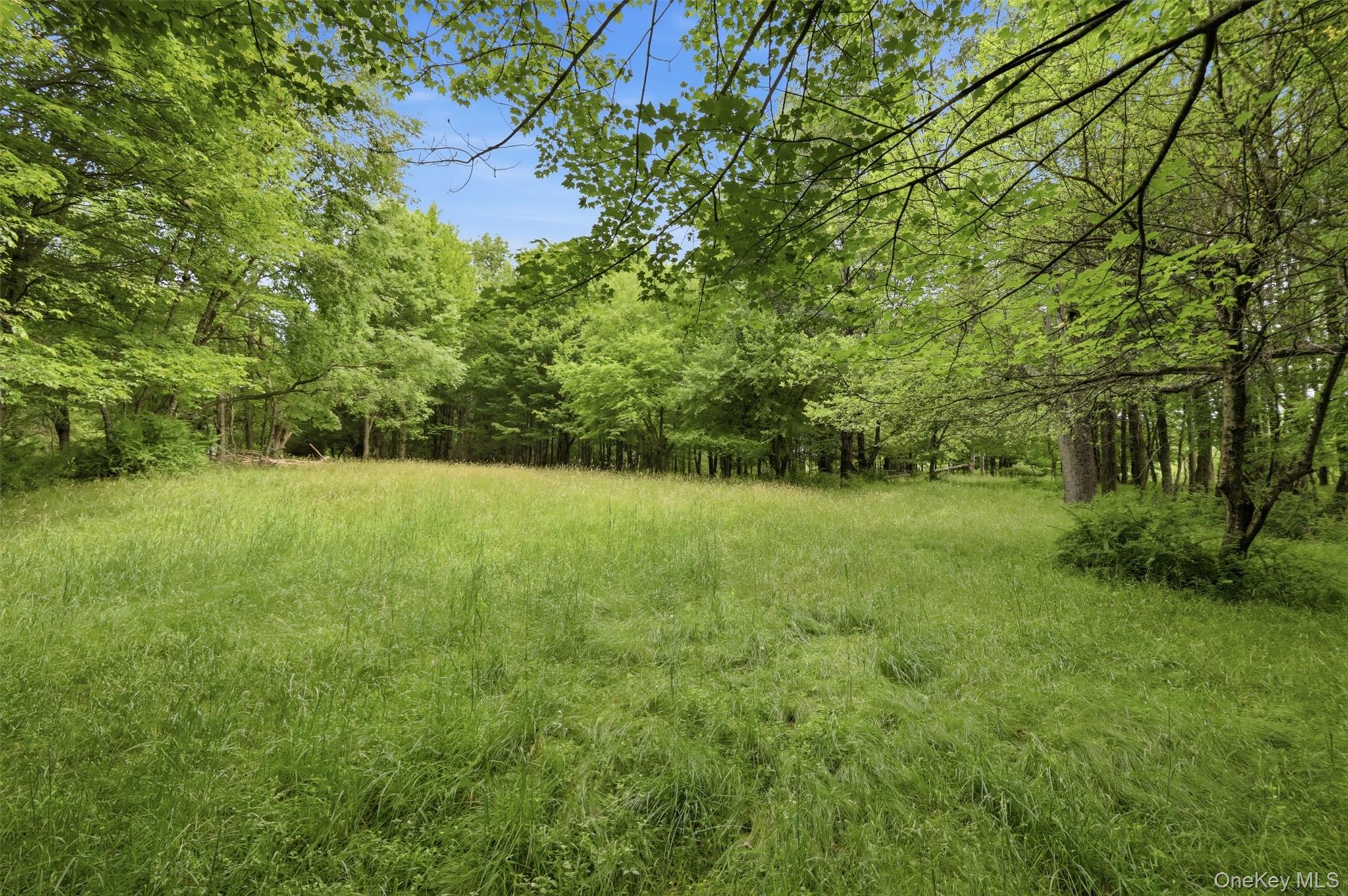 115 Cold Spring Road – For Sale photo 28