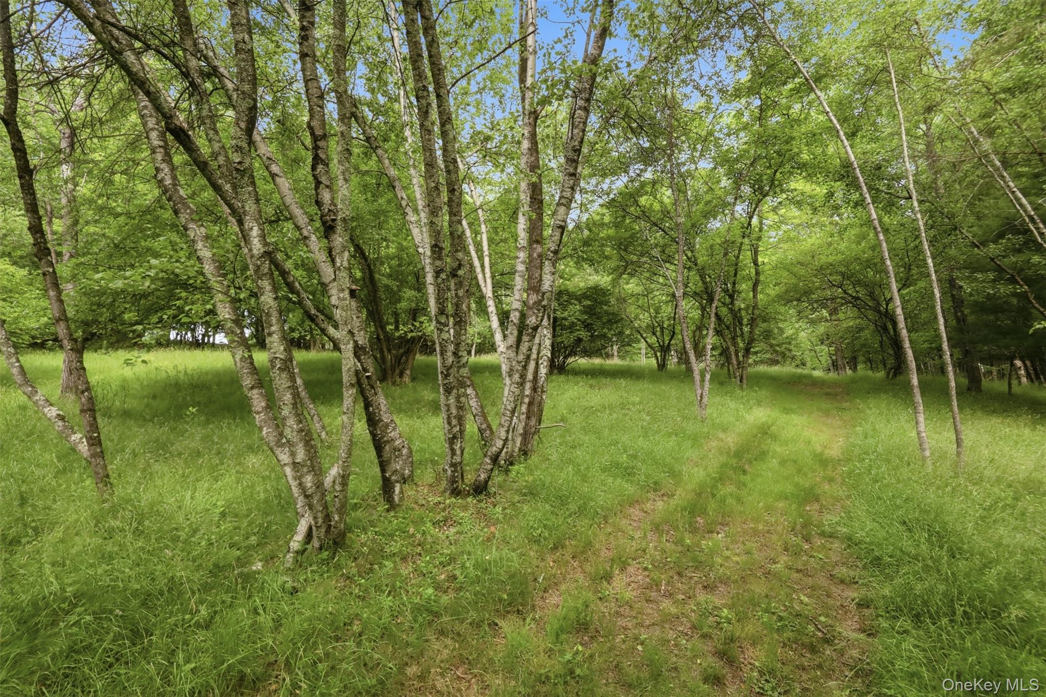 115 Cold Spring Road – For Sale photo 24