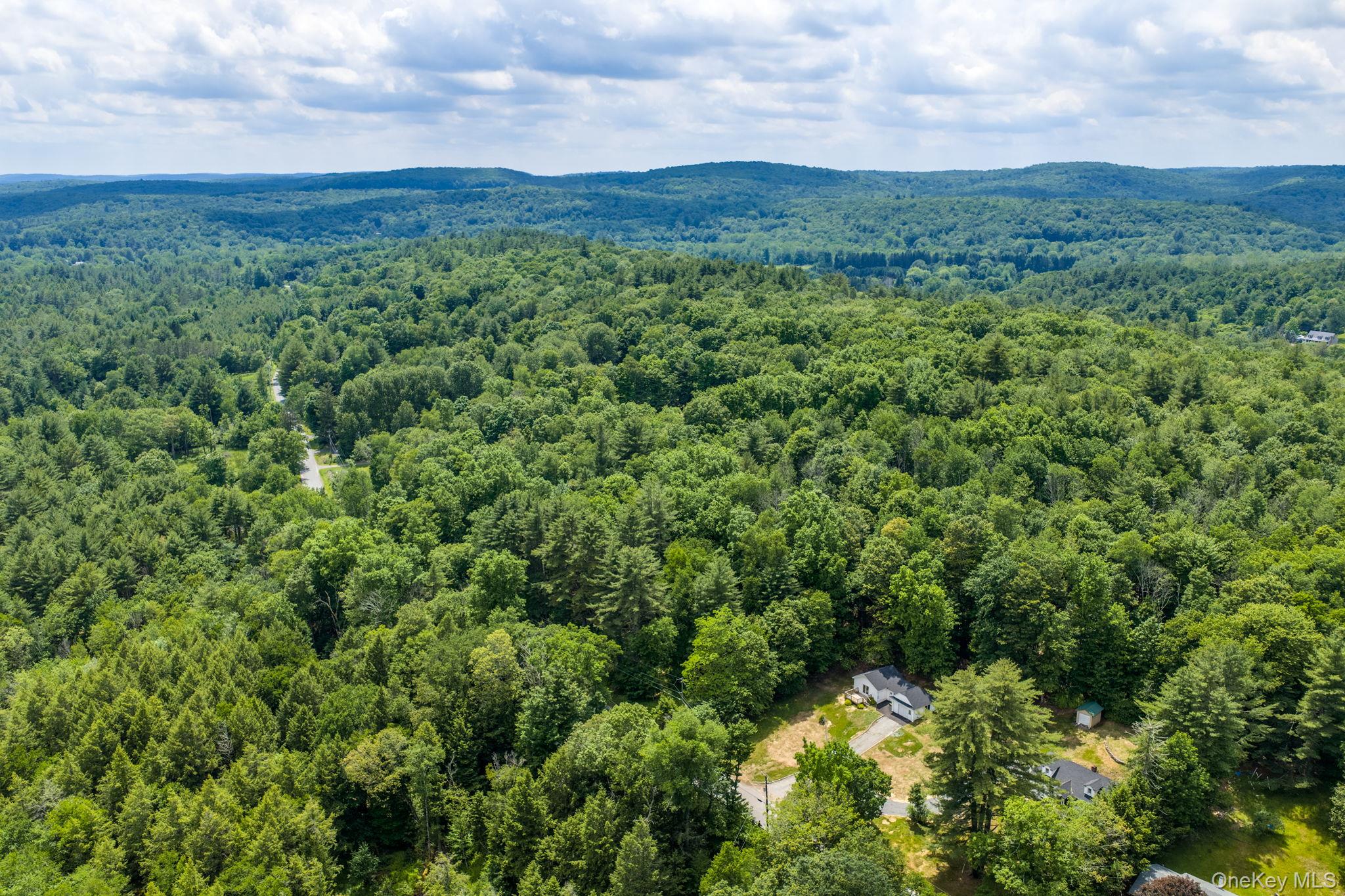 810 Benton Hollow Road – For Sale photo 46