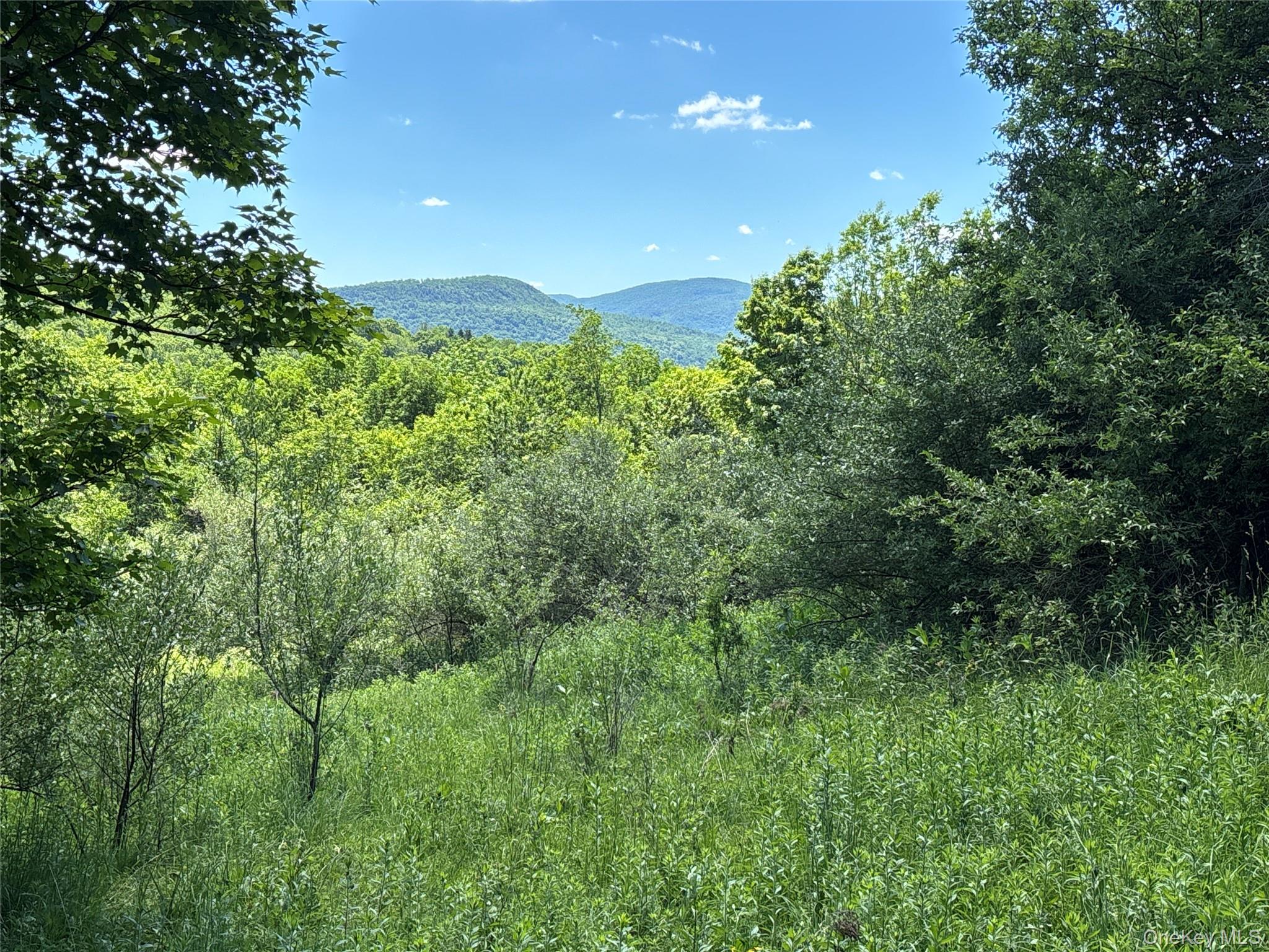 2636 Murphy Hill Road – For Sale photo 18