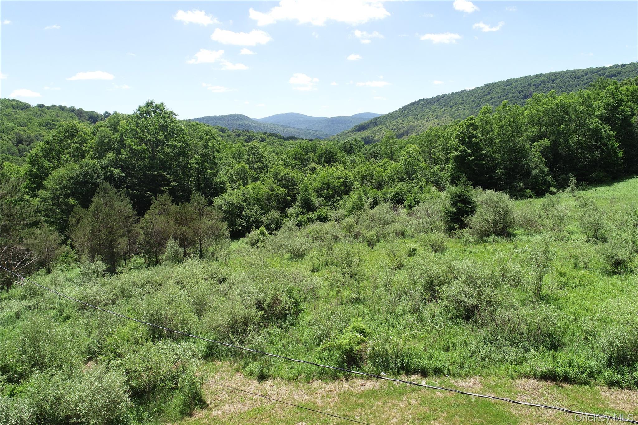 2636 Murphy Hill Road – For Sale photo 3