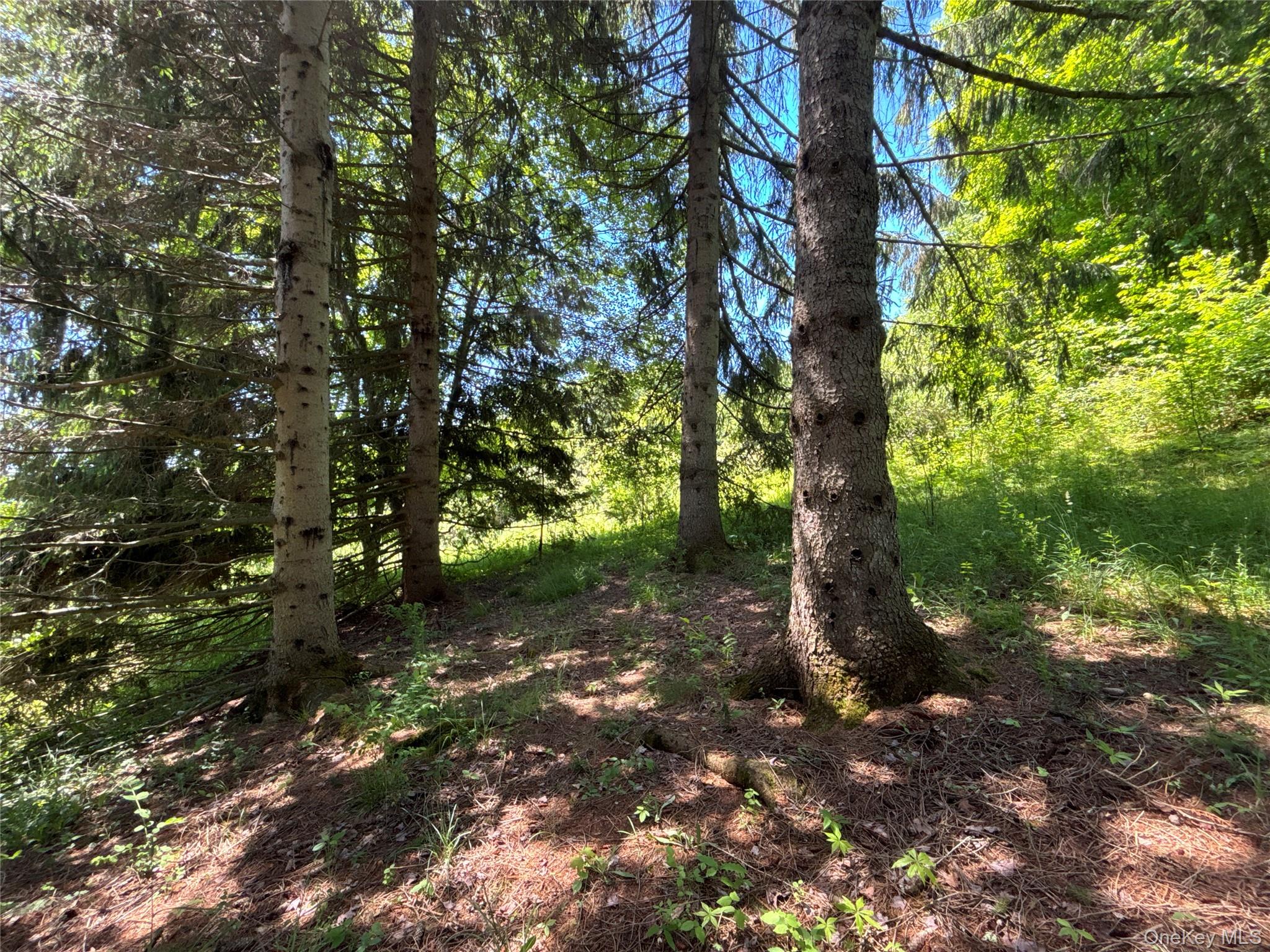 2636 Murphy Hill Road – For Sale photo 29