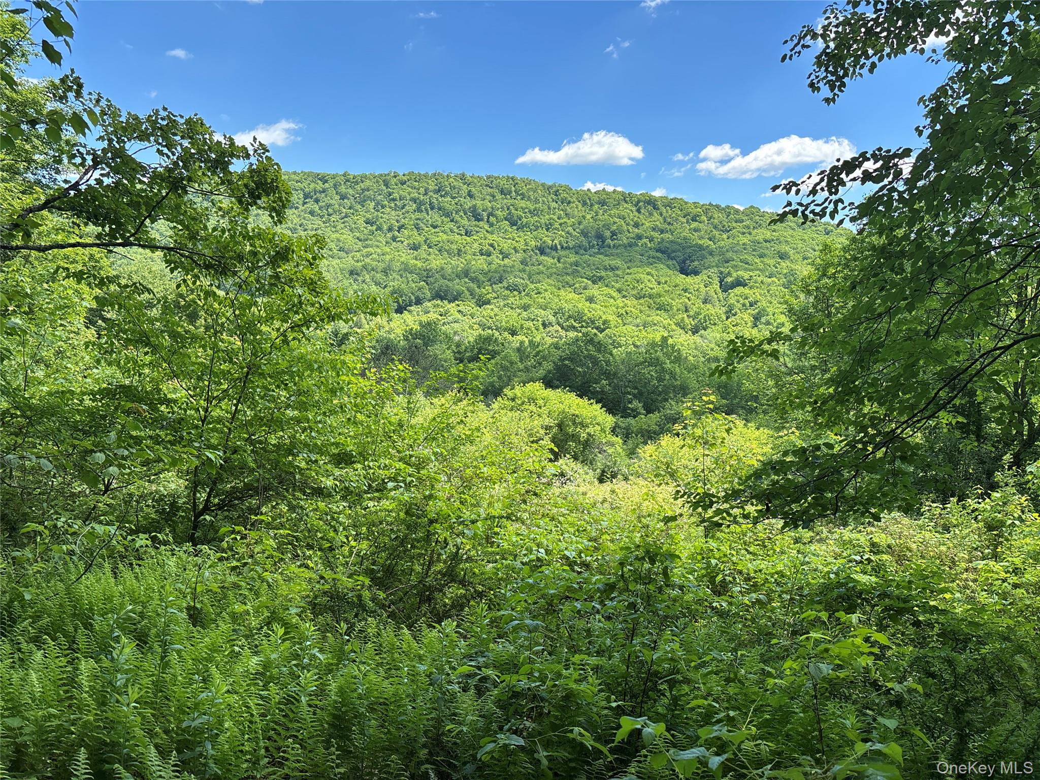 2636 Murphy Hill Road – For Sale photo 22