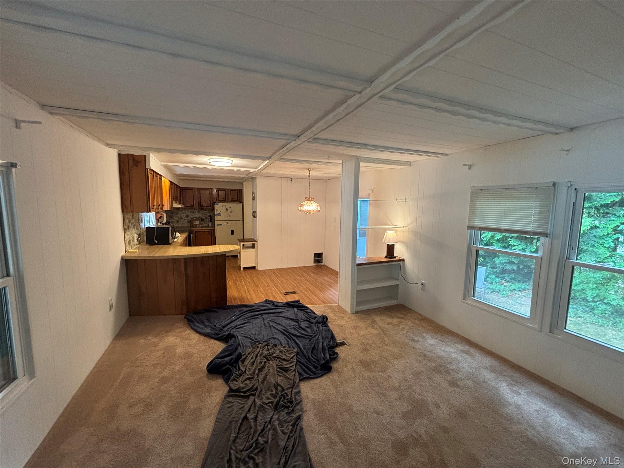 101 West Lane, Unit 42B Witt L photo 24