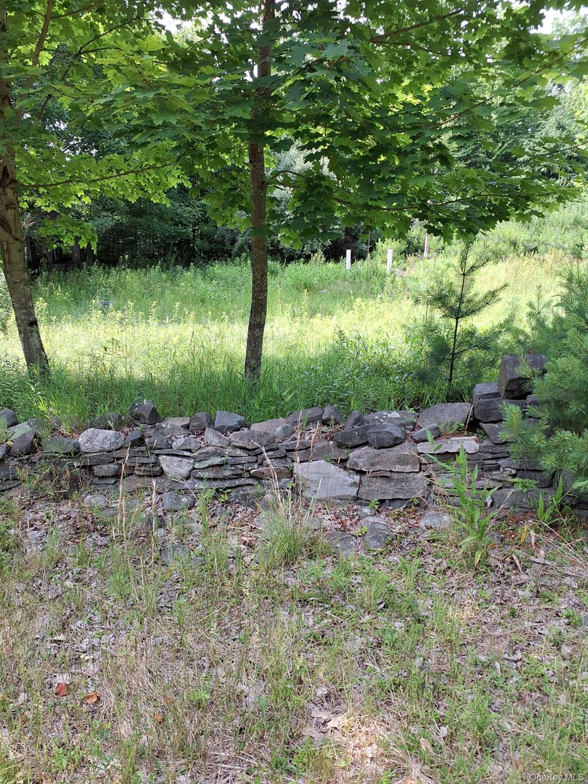 96 Hasbrouck Road – For Sale photo 2