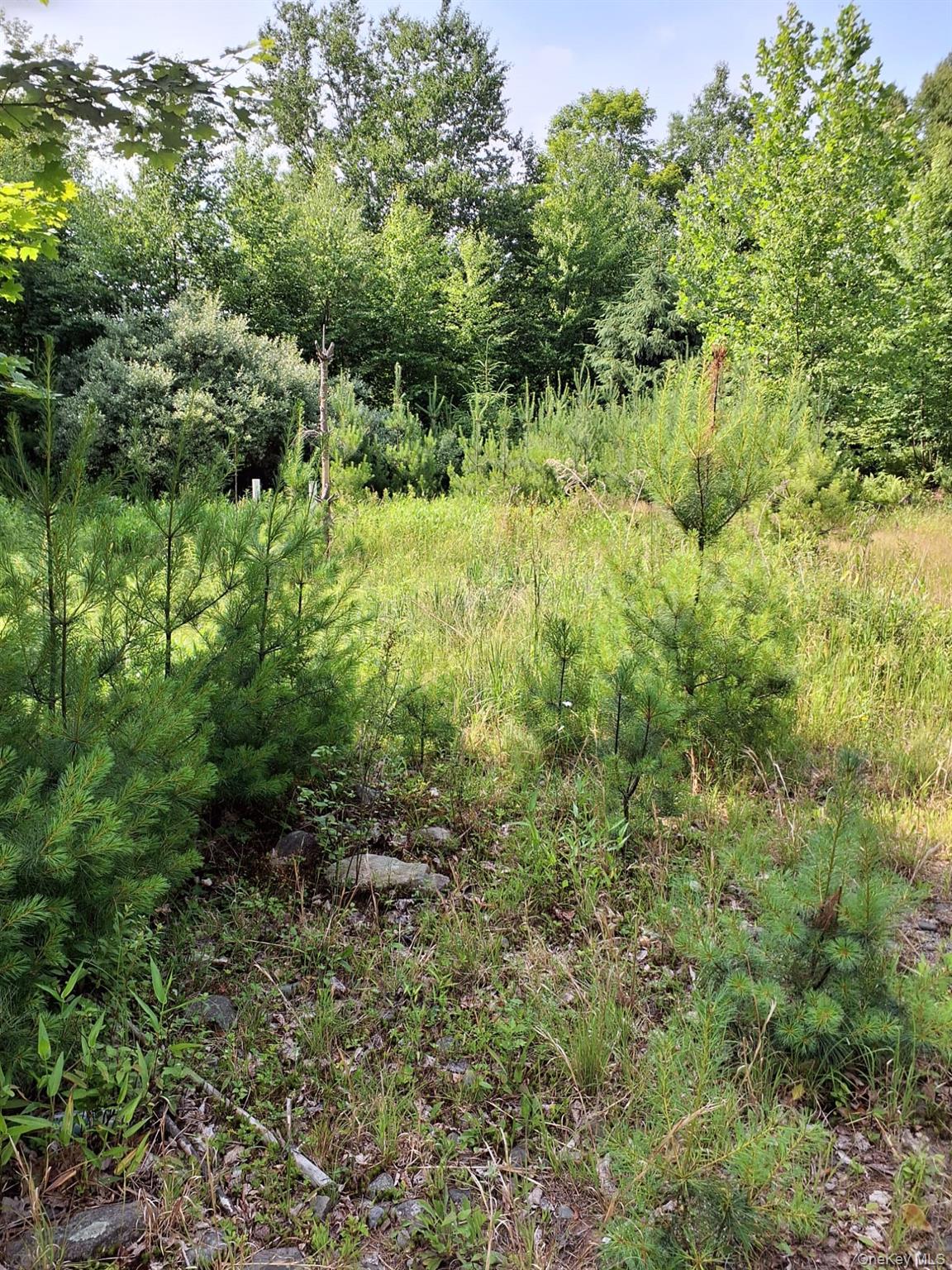 96 Hasbrouck Road – For Sale photo 11