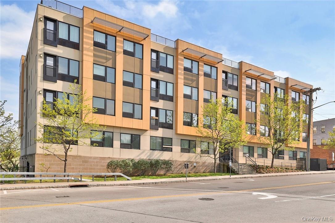 68 Lake Street, Unit 305 photo 2