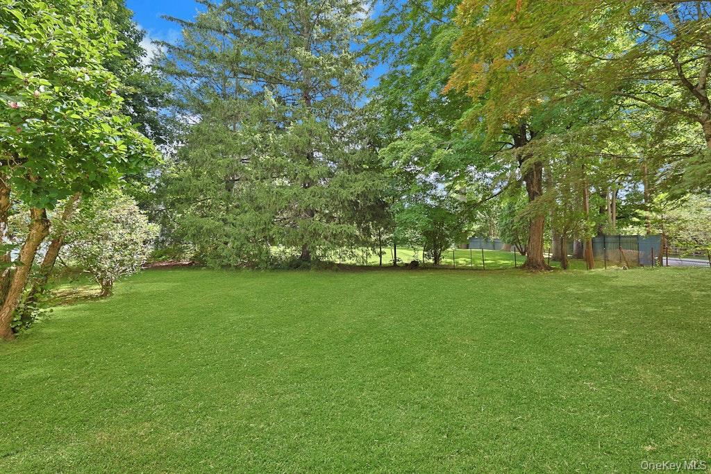 547 King Street, Unit A photo 17