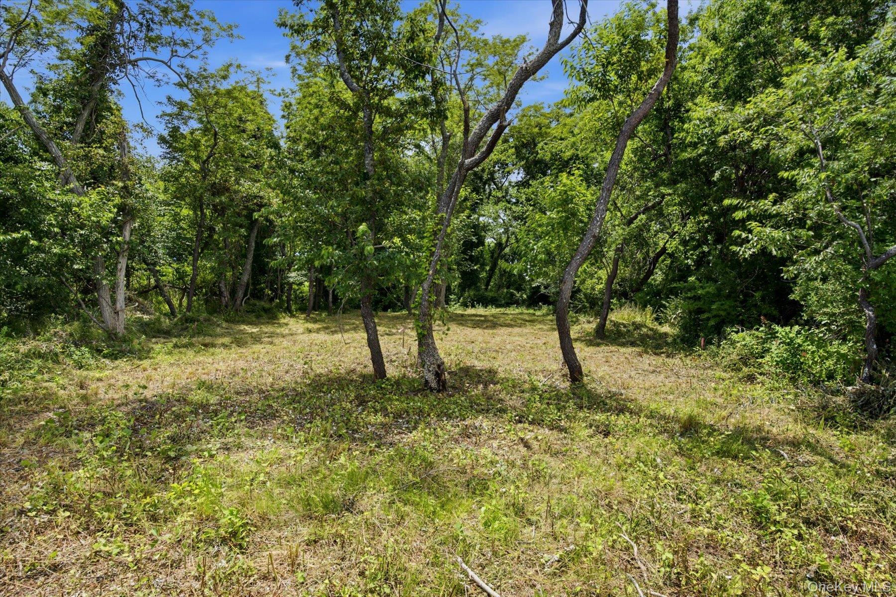 75 Pettys Drive – For Sale photo 15