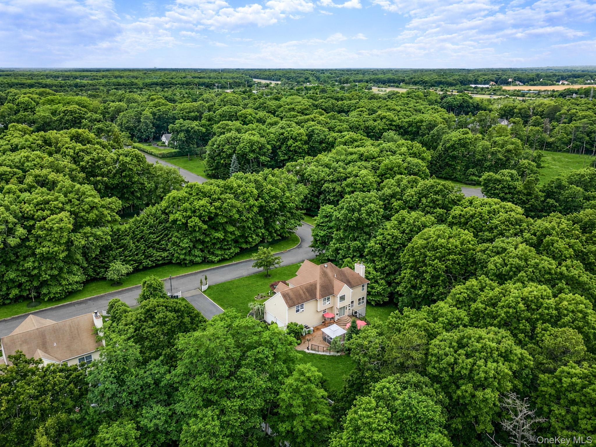 17 Holmes Avenue – For Sale photo 40