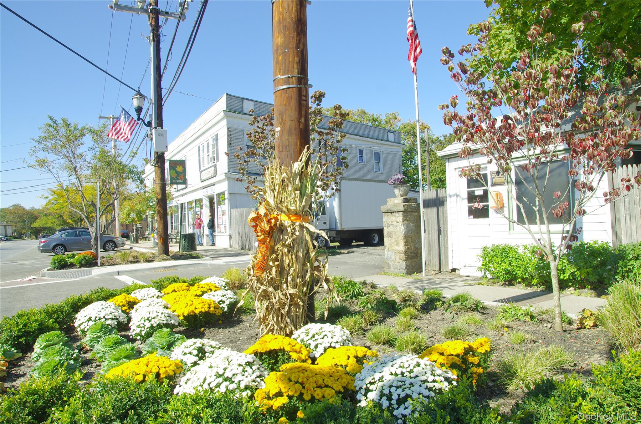 7 Vine Street – For Sale photo 43
