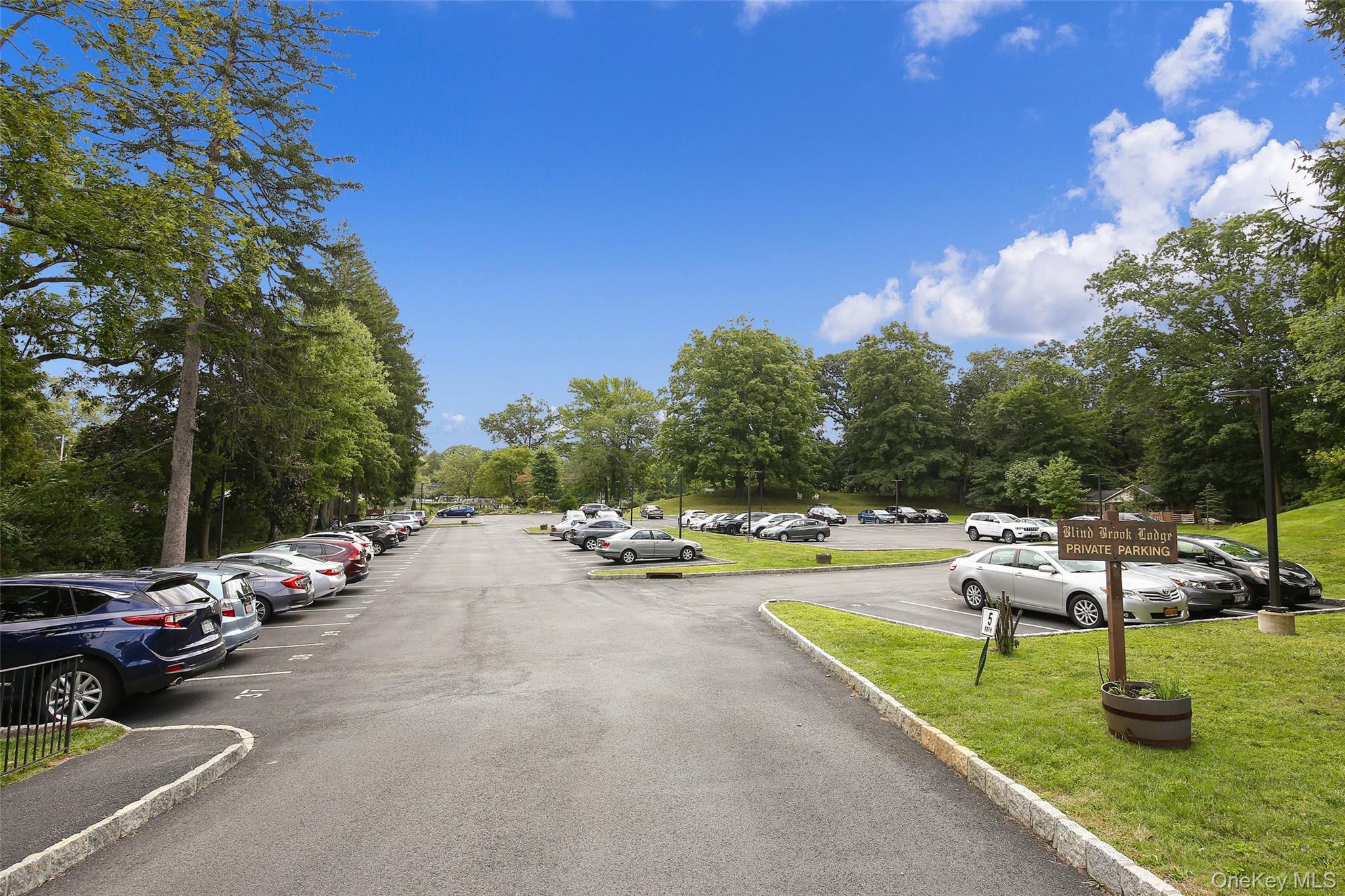 66 Milton Road, Unit A1 photo 14
