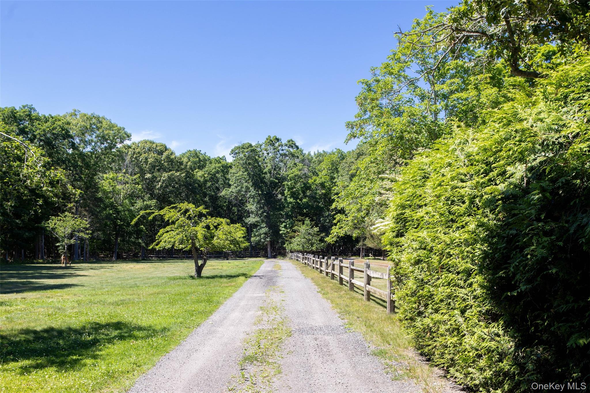 300 Terry Path – For Sale photo 11