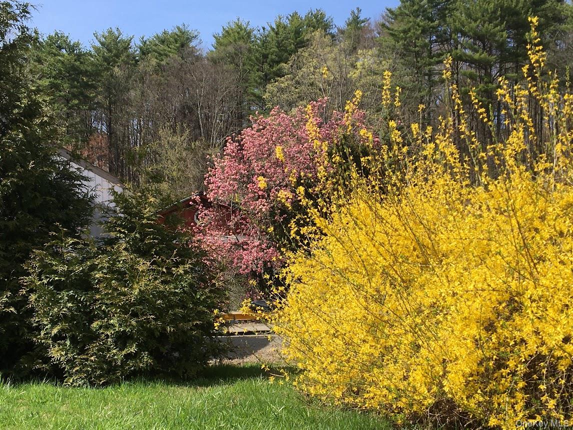 6940 Route 209 – For Sale photo 43