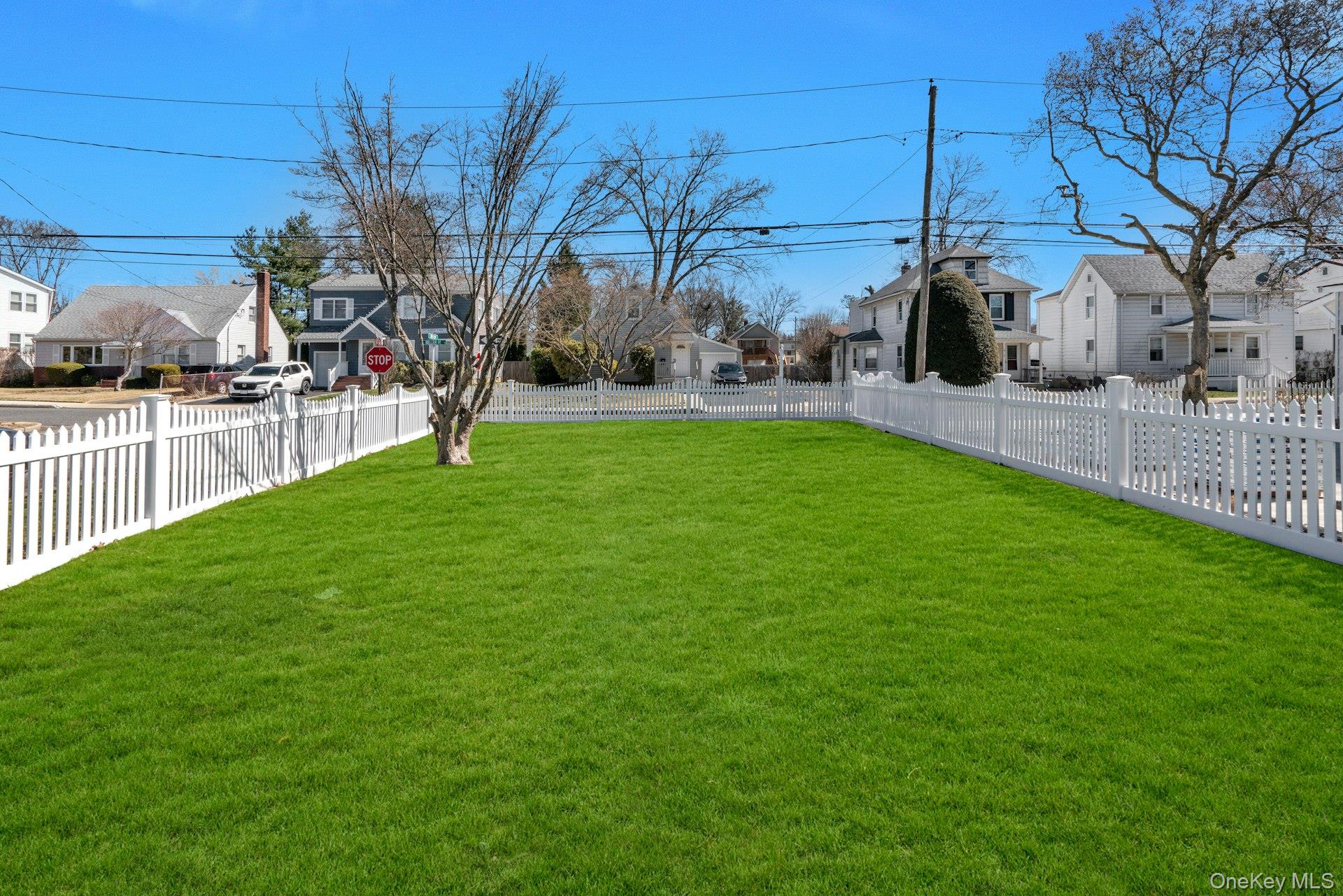 25 Miller street – For Rent photo 17