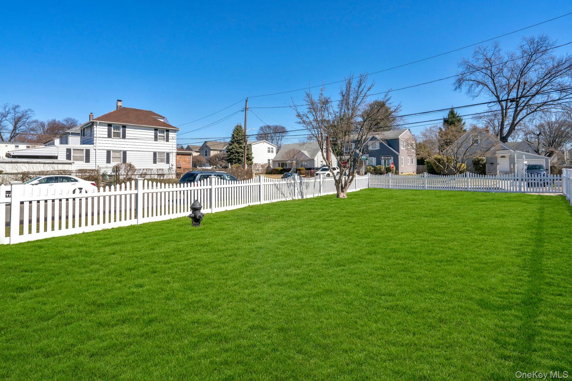 25 Miller street – For Rent photo 16