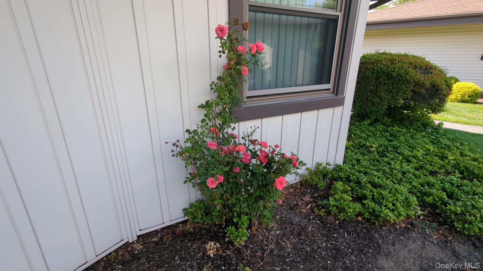 5 Devon Court, Unit B photo 20