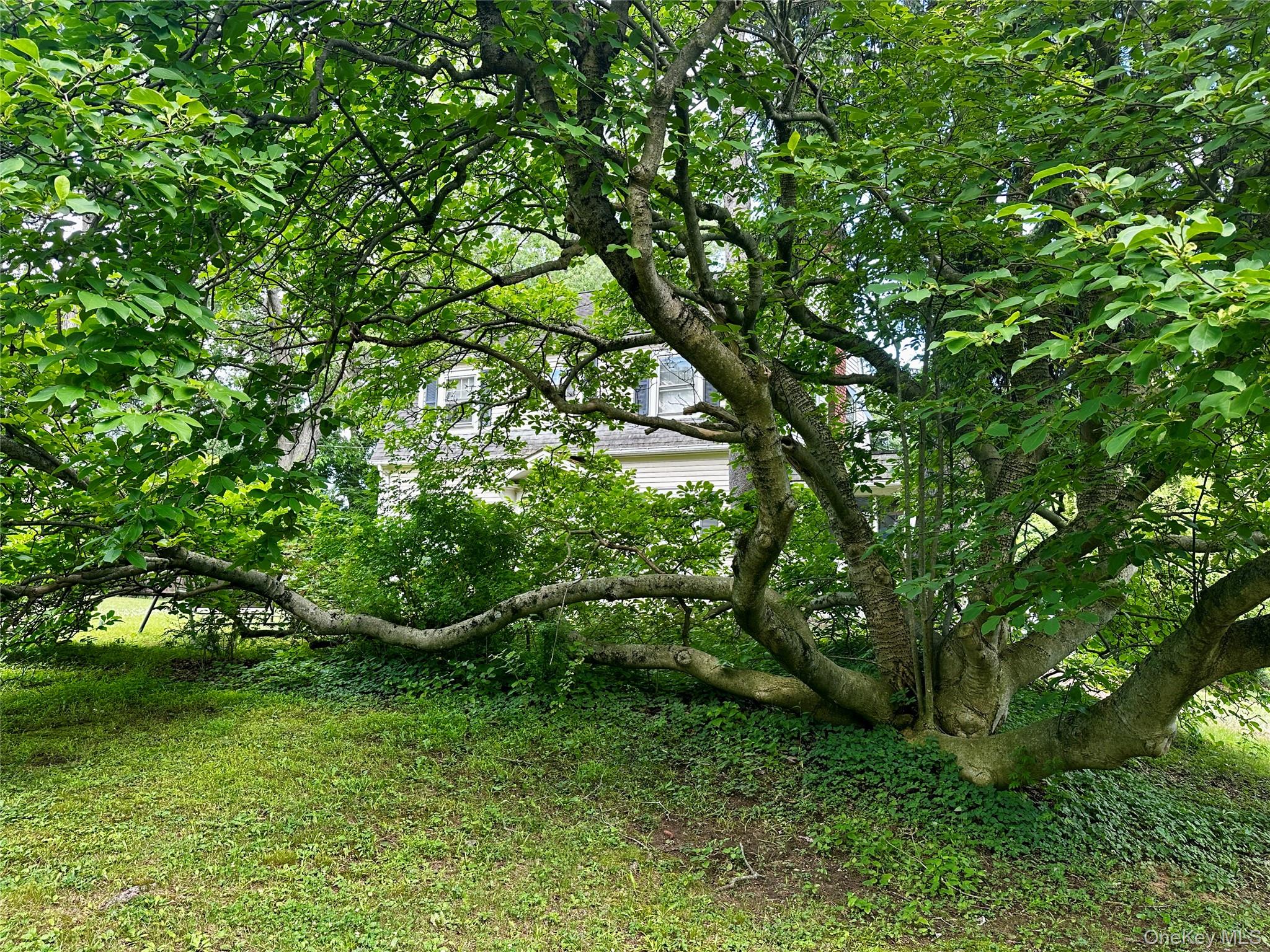 237 Windsor Highway – For Sale photo 5