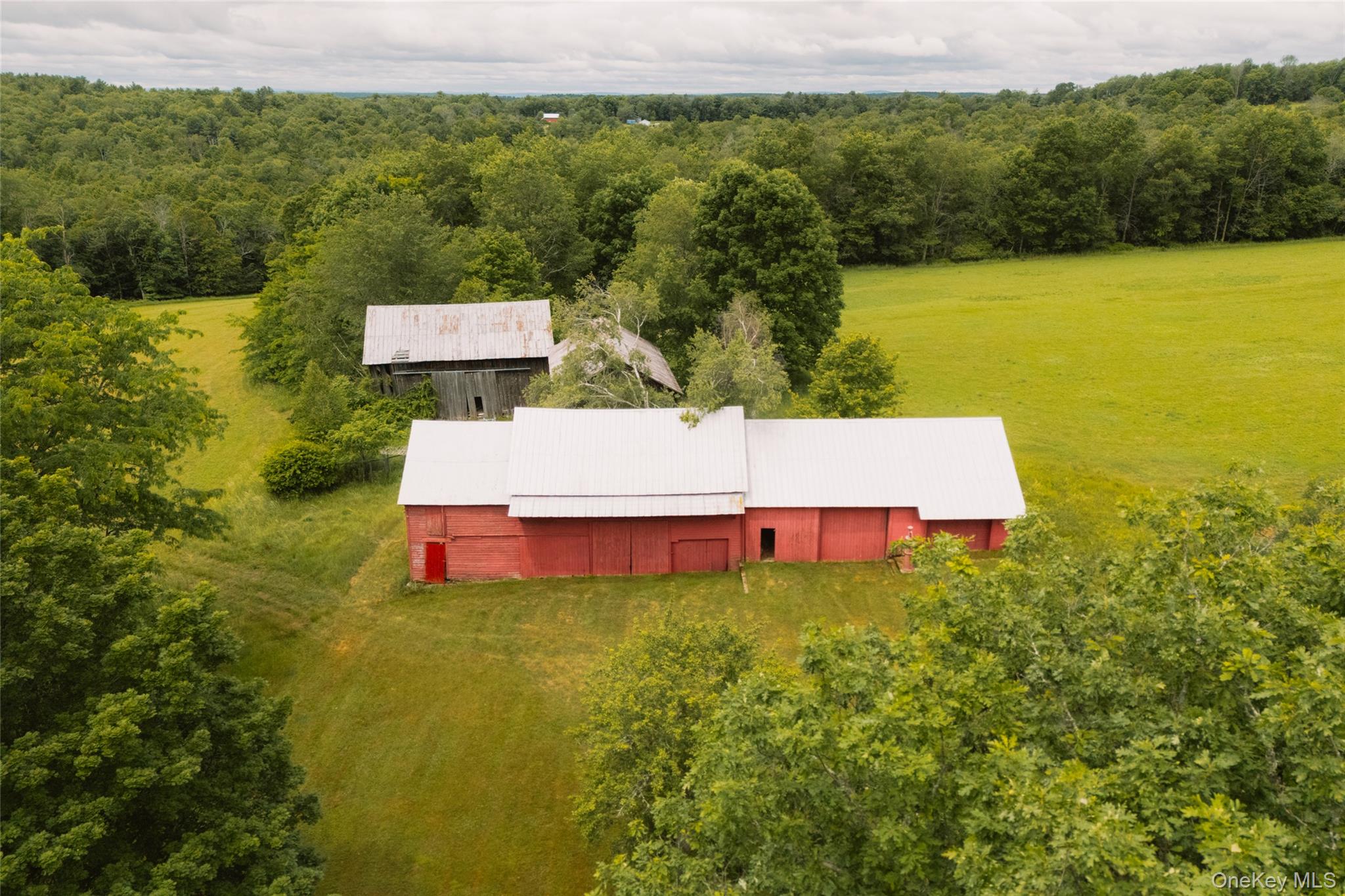 196 County Road 115 – For Sale photo 47