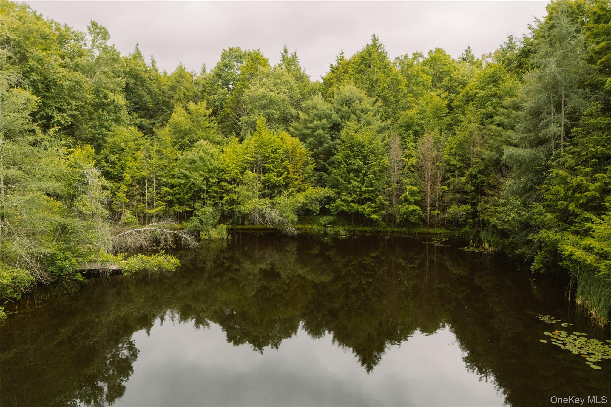 196 County Road 115 – For Sale photo 50