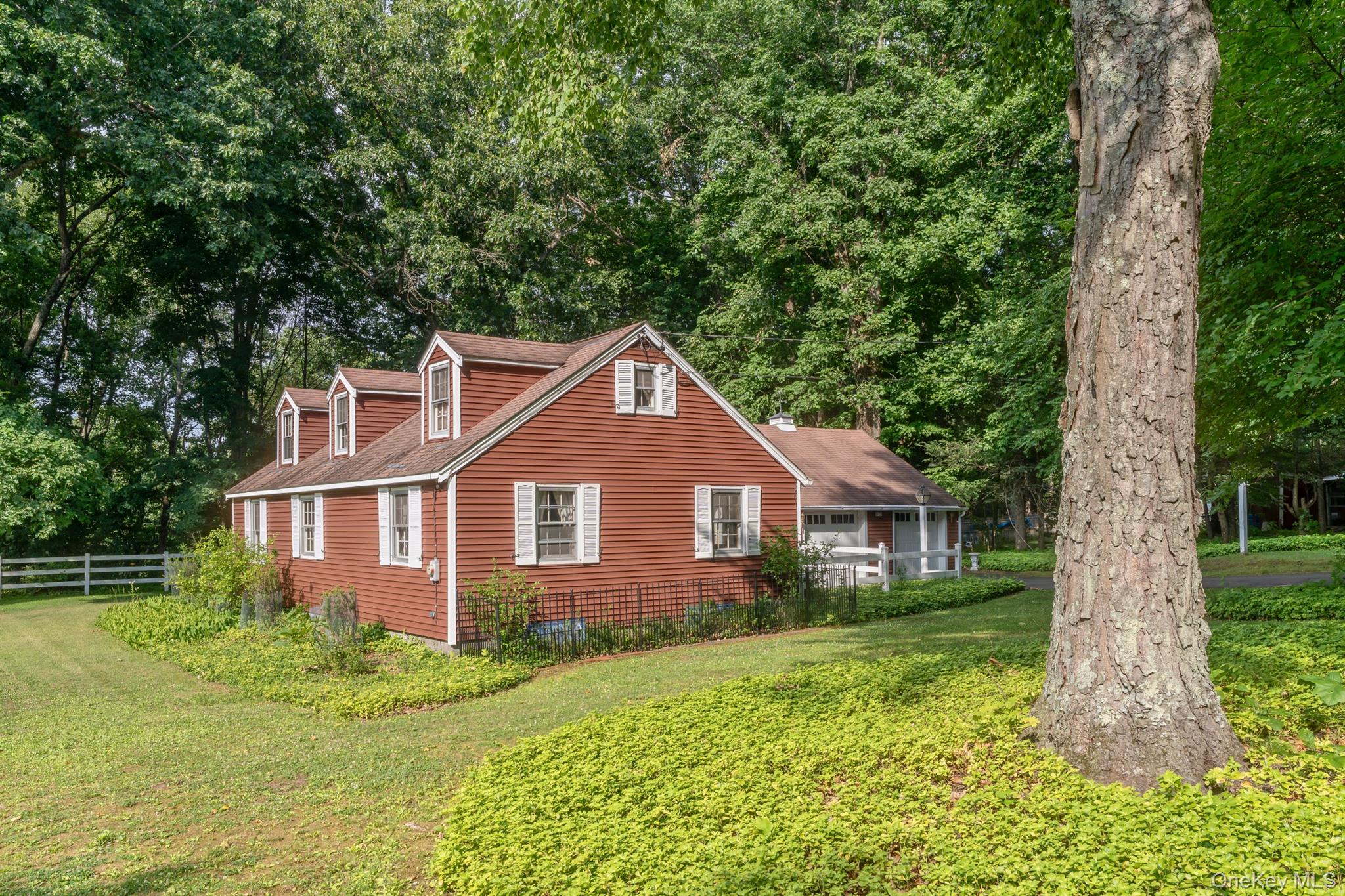 8 Carroll Street – For Sale photo 37