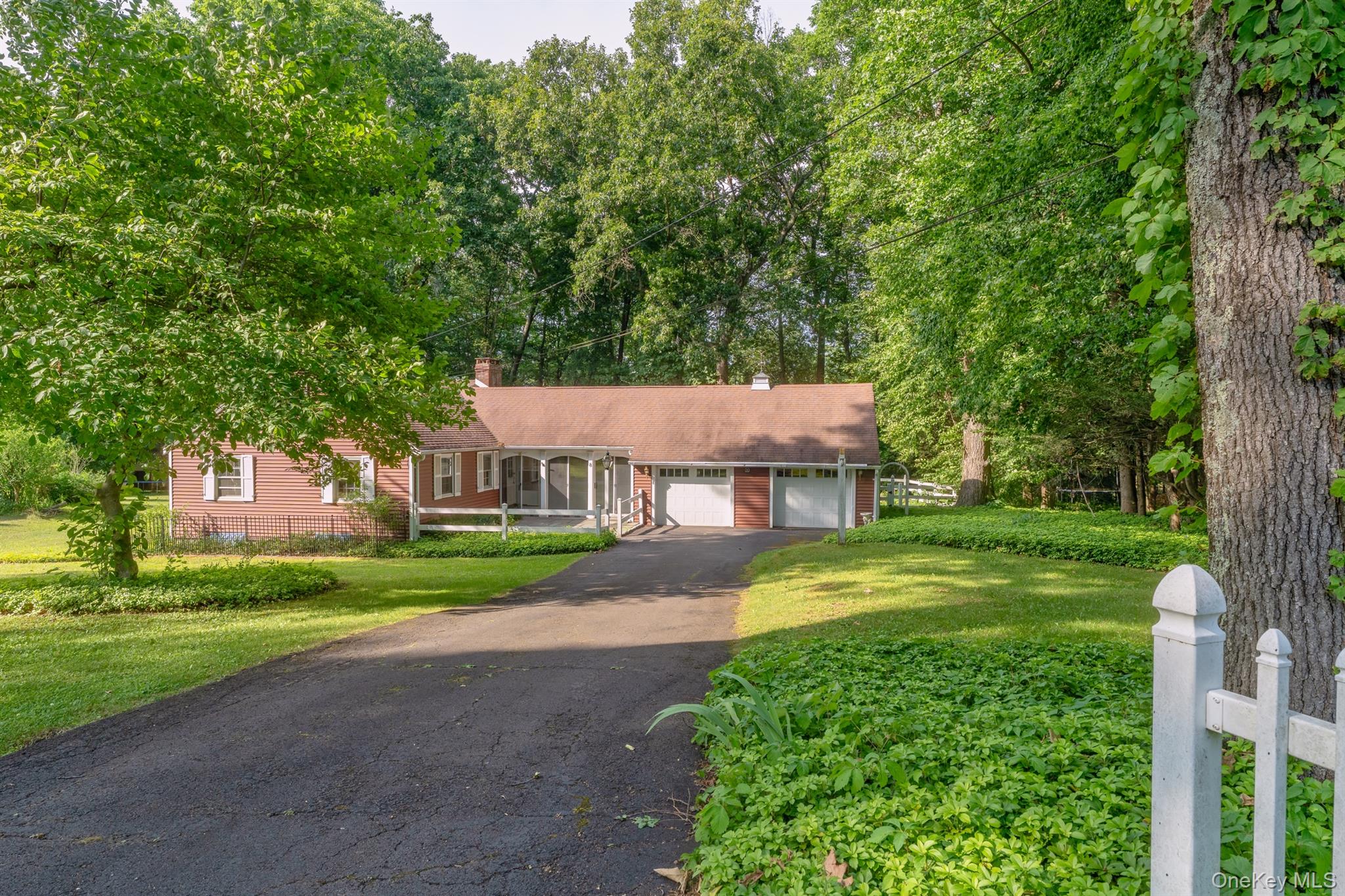 8 Carroll Street – For Sale photo 41
