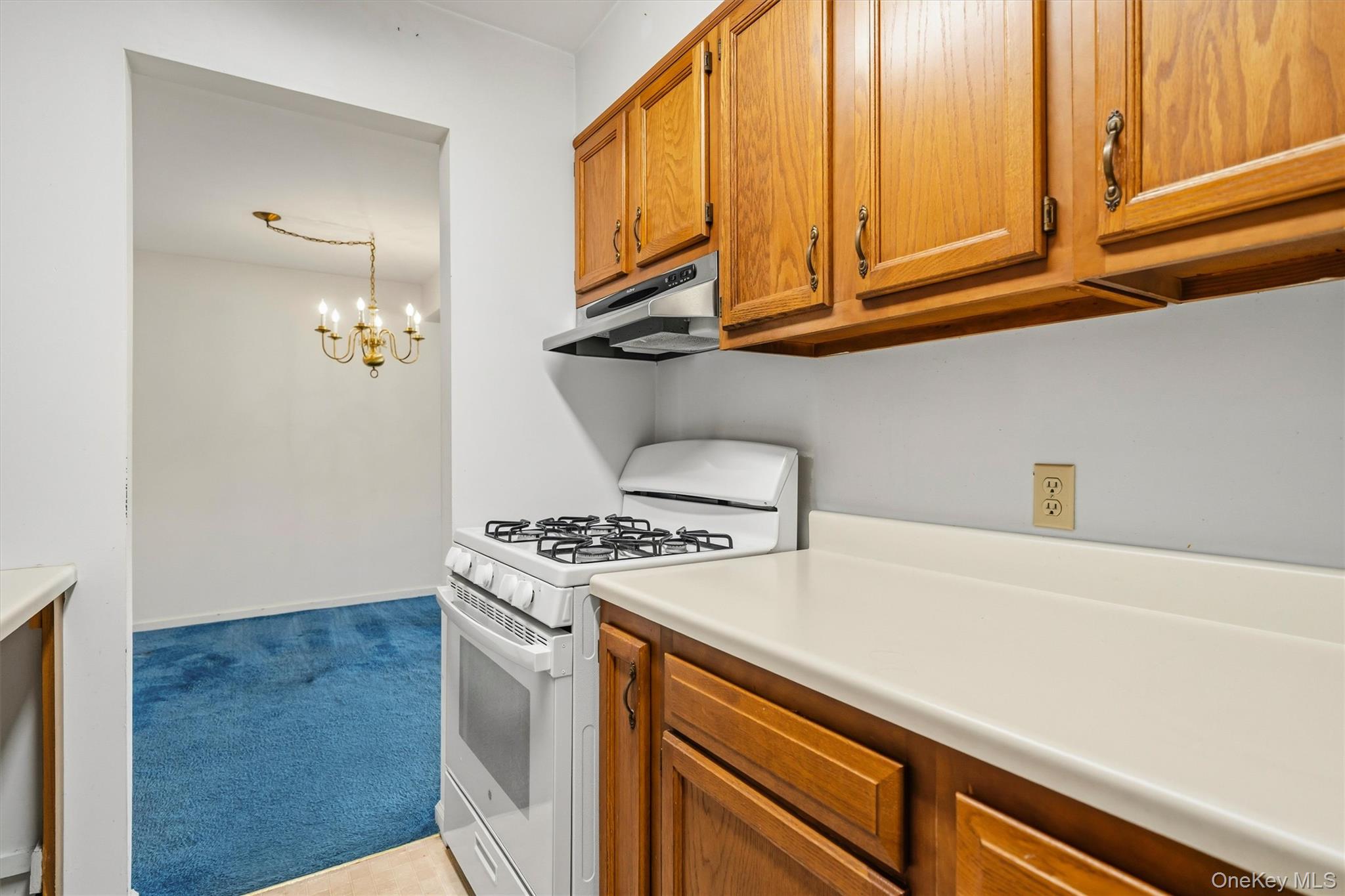 276 Temple Hill Road, Unit 1509 photo 13
