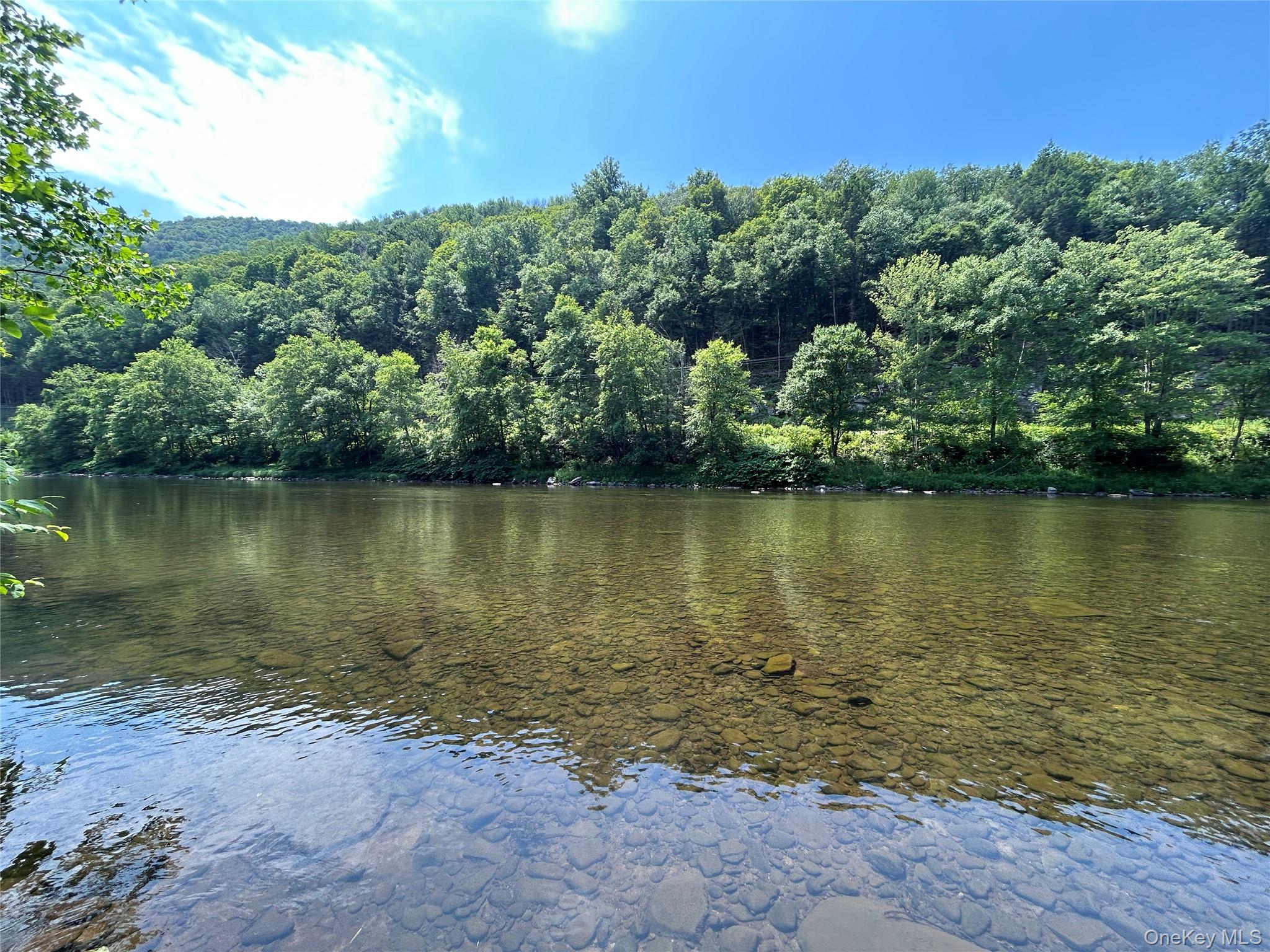 284 Mountain Pass – For Sale photo 13
