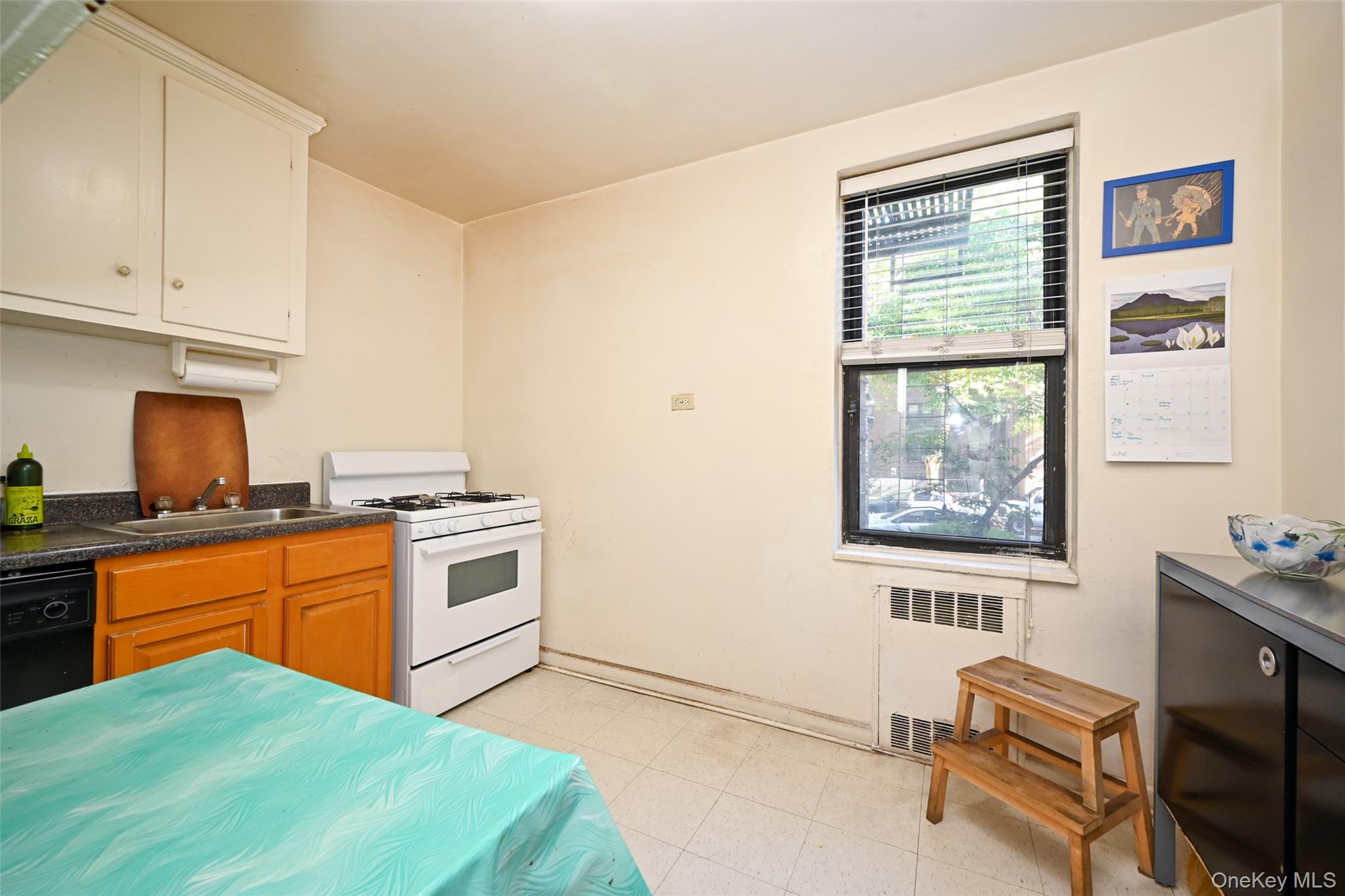 99-63 66 Avenue, Unit A9 photo 11