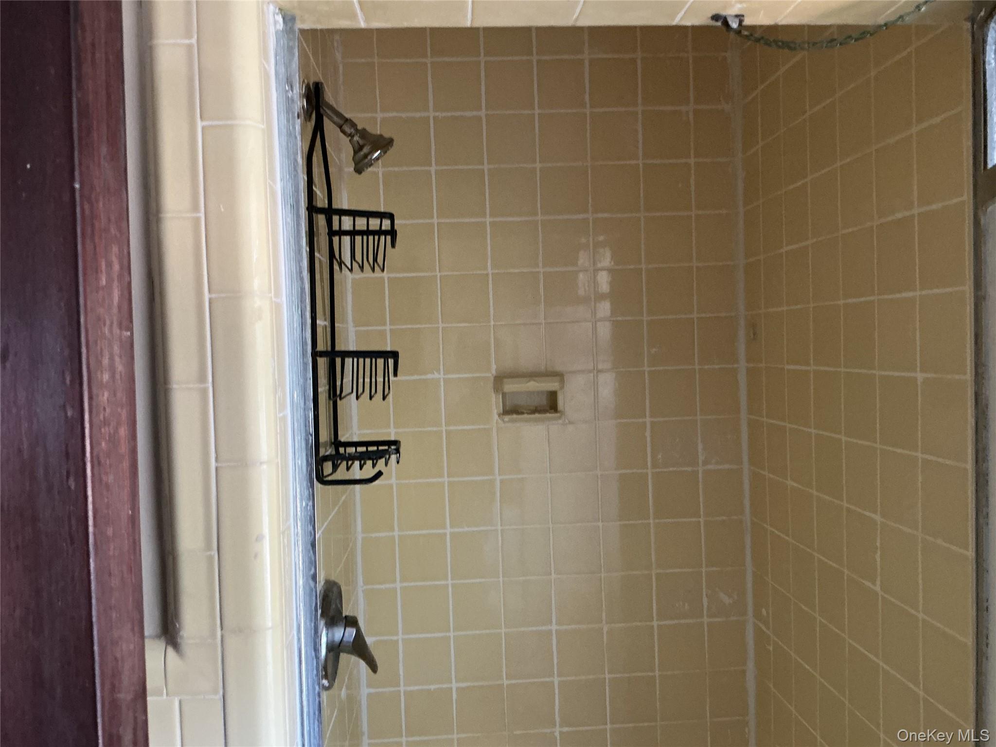 45 Tennyson Avenue – For Rent photo 15