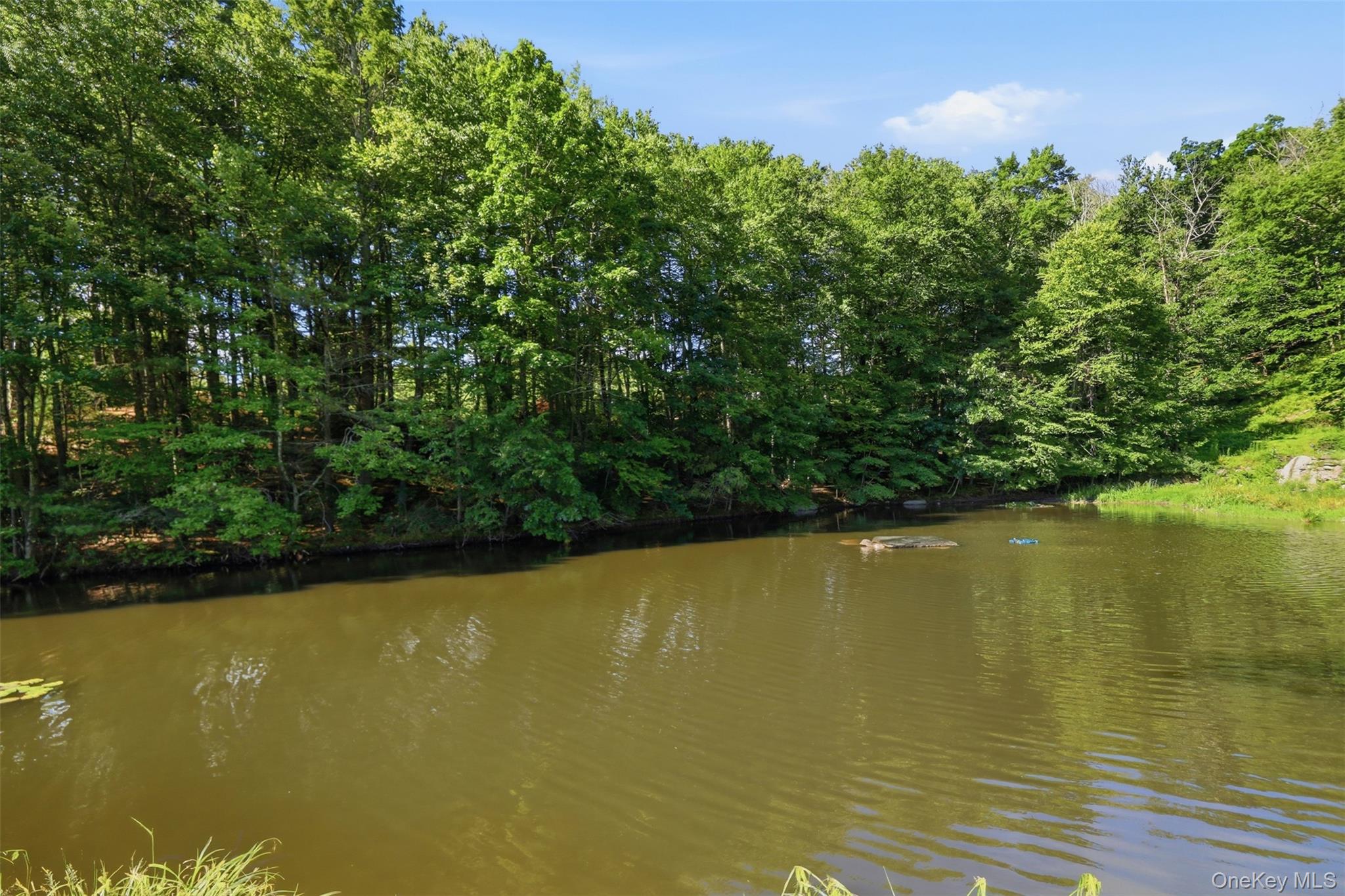 16 Buena Vista Point – For Sale photo 50