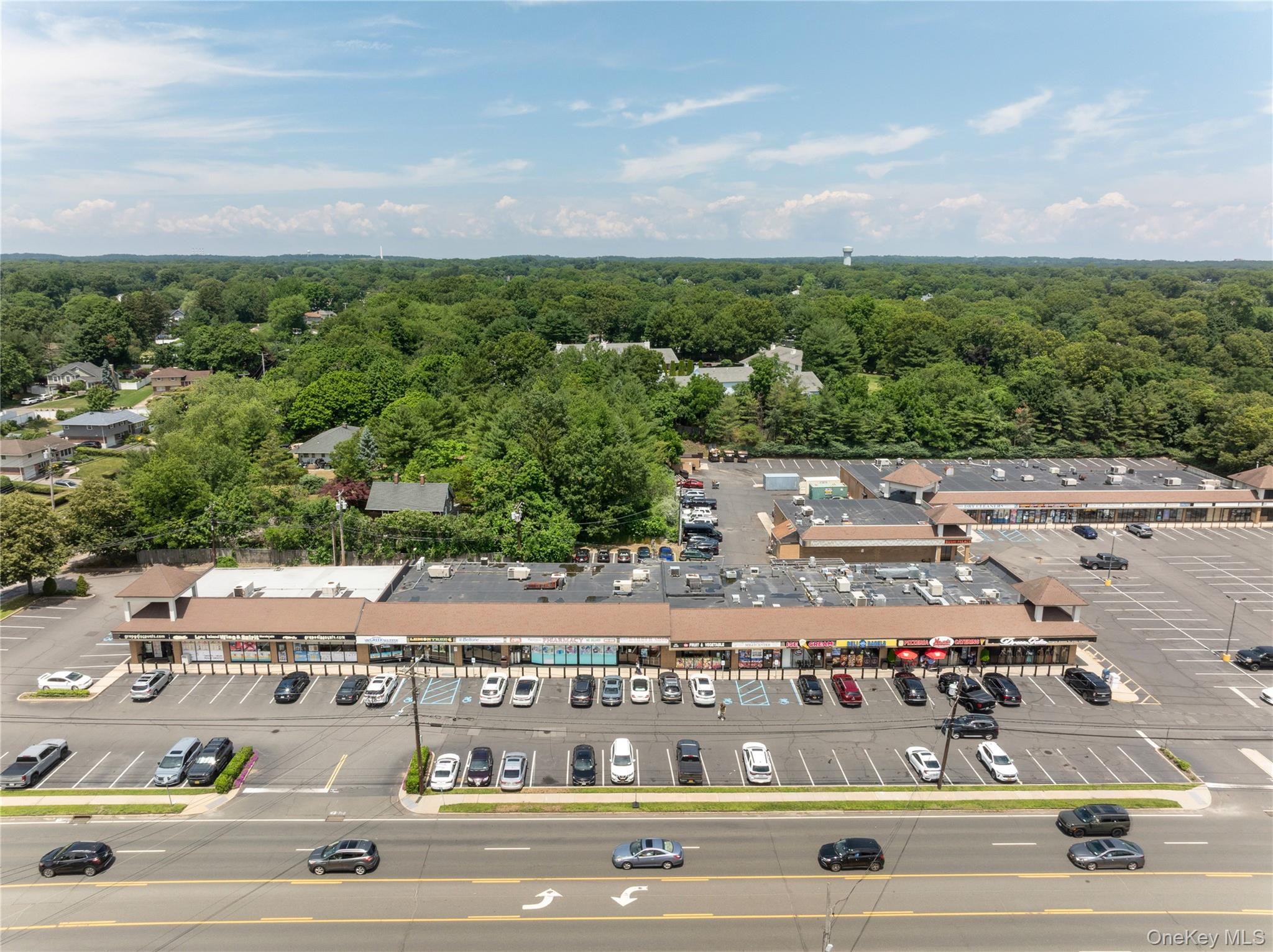 1165 Jericho Turnpike – For Rent photo 8