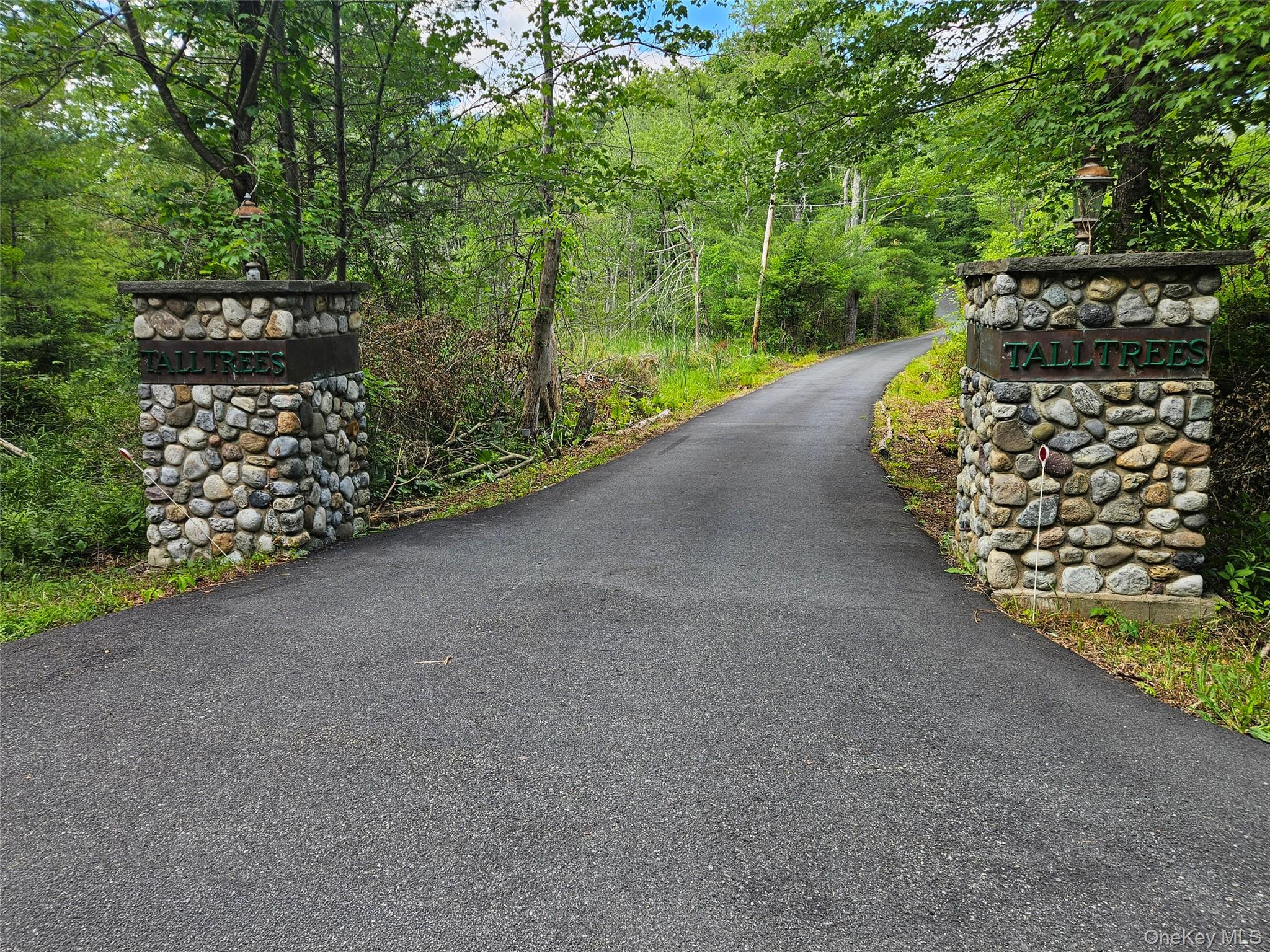 229 Clove Road – For Sale photo 47